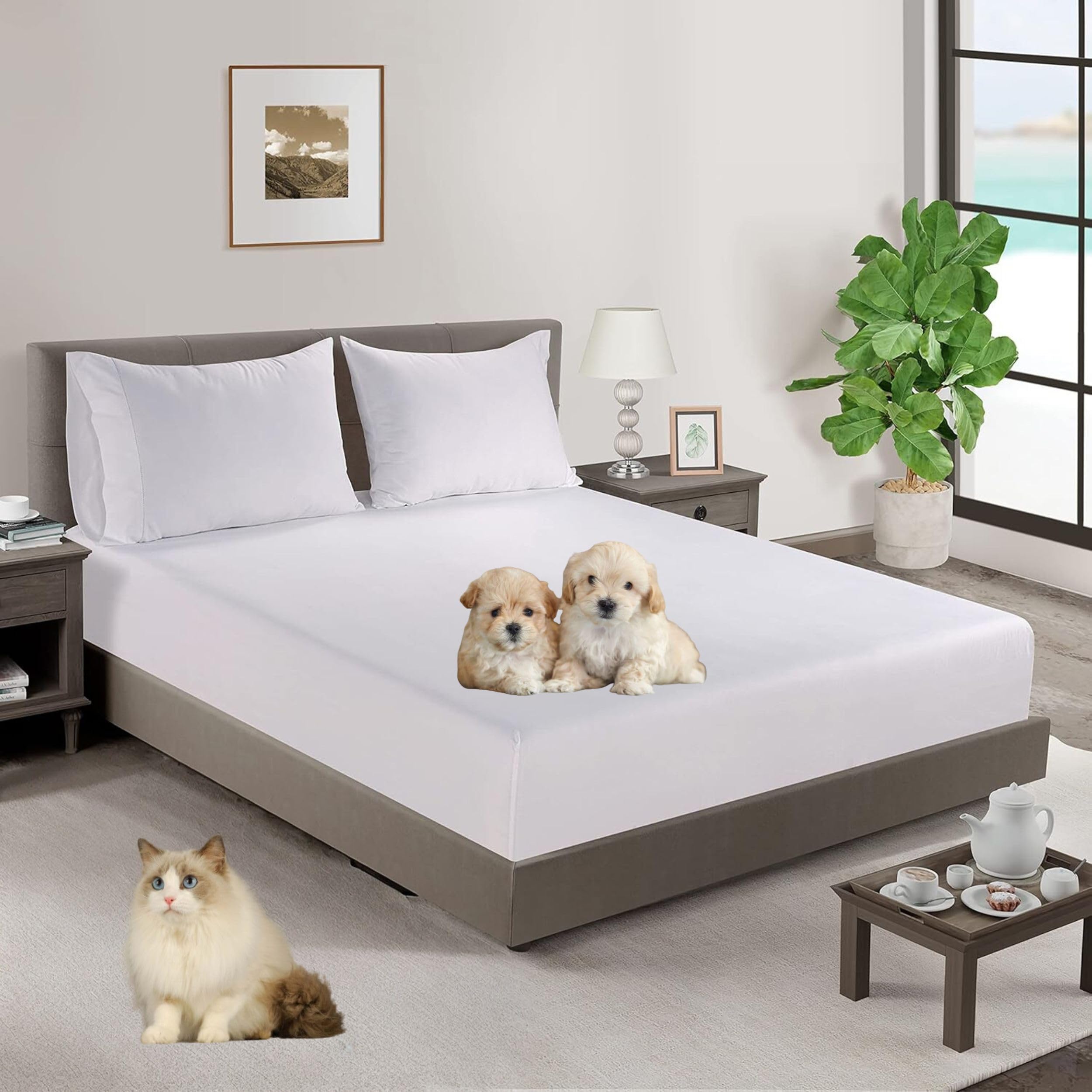 Sábana Bajera Cama 200 Algodón 100%. | Sabana Bajera 200x190 Ajustable Algodón 100% Transpirable | Sábana Bajera 200x190 Algodón Blanco | Sabana Bajera 200x200 Algodón