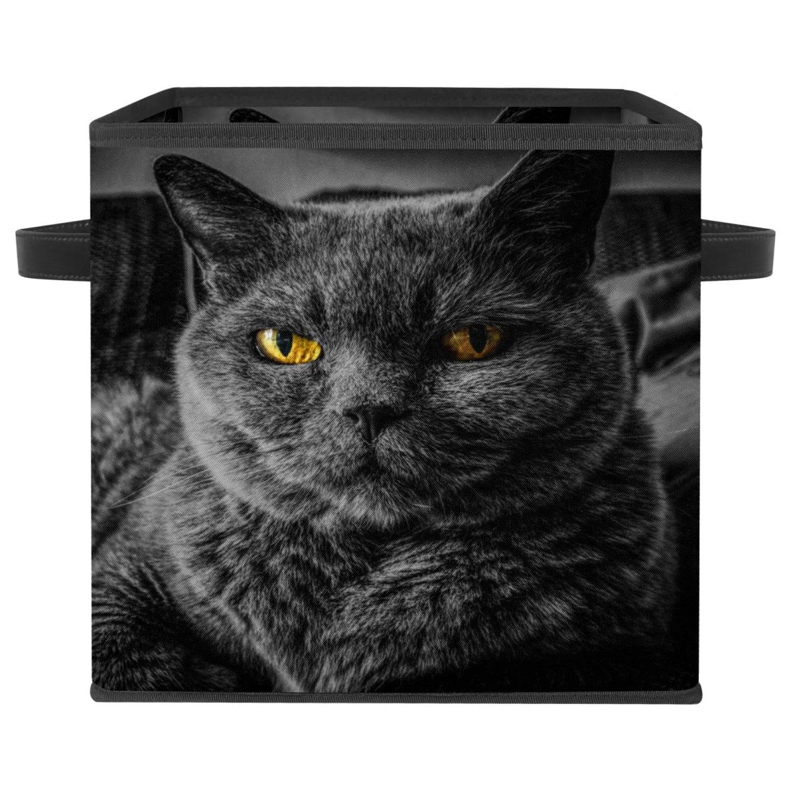 Boîte de rangement pliable chat noir en tissu cube avec poignées