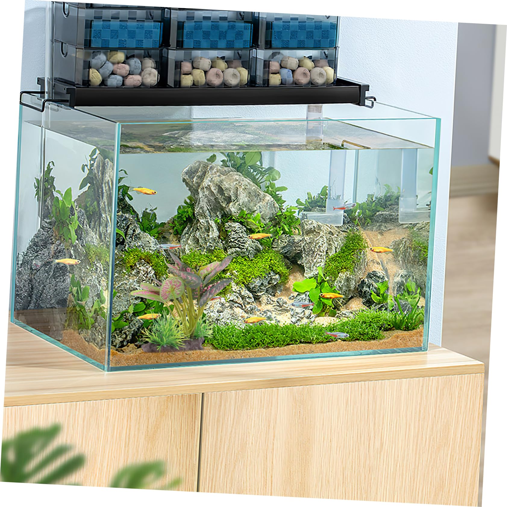View 8