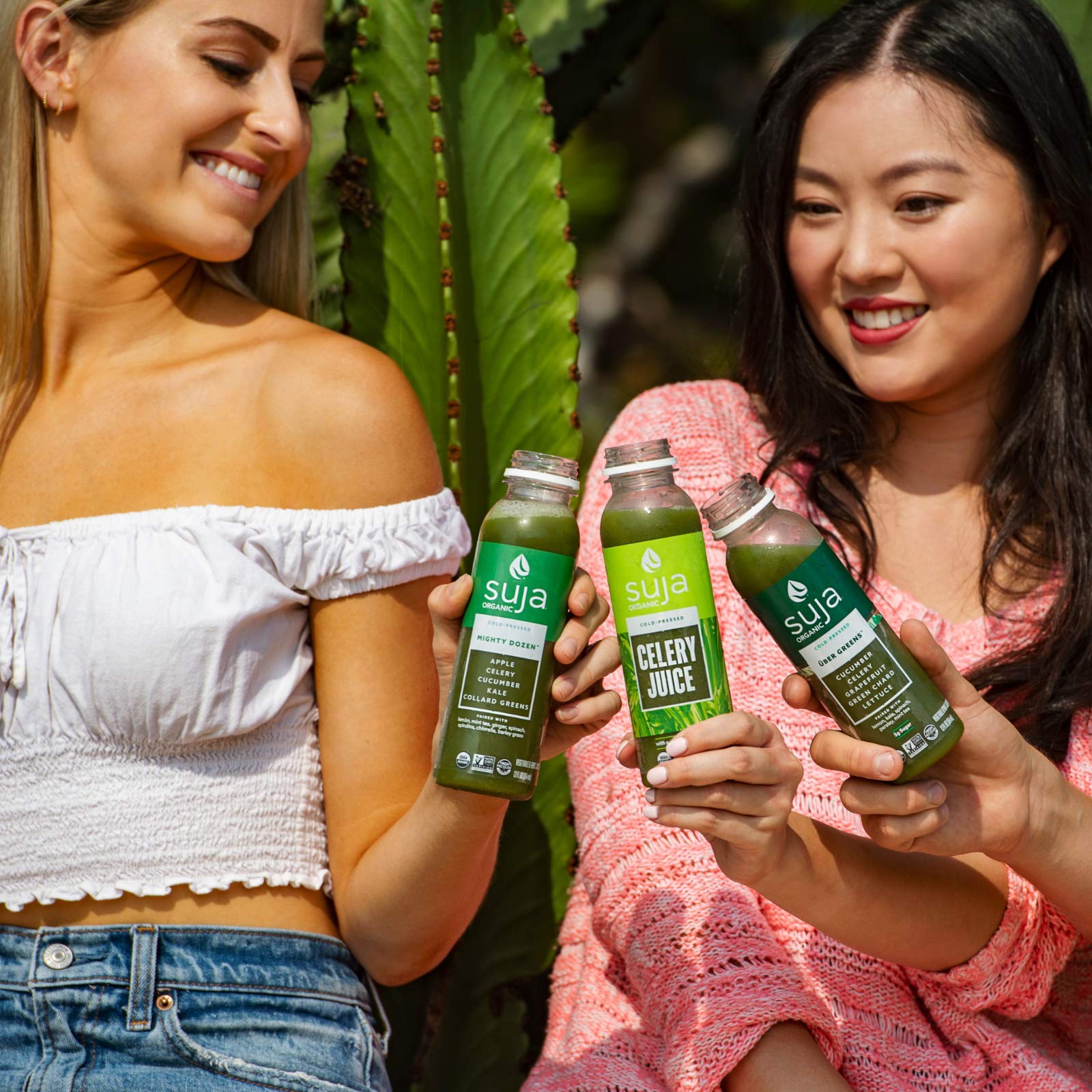 Buy Suja Organic ColdPressed Mighty Dozen, Green Juice with Celery