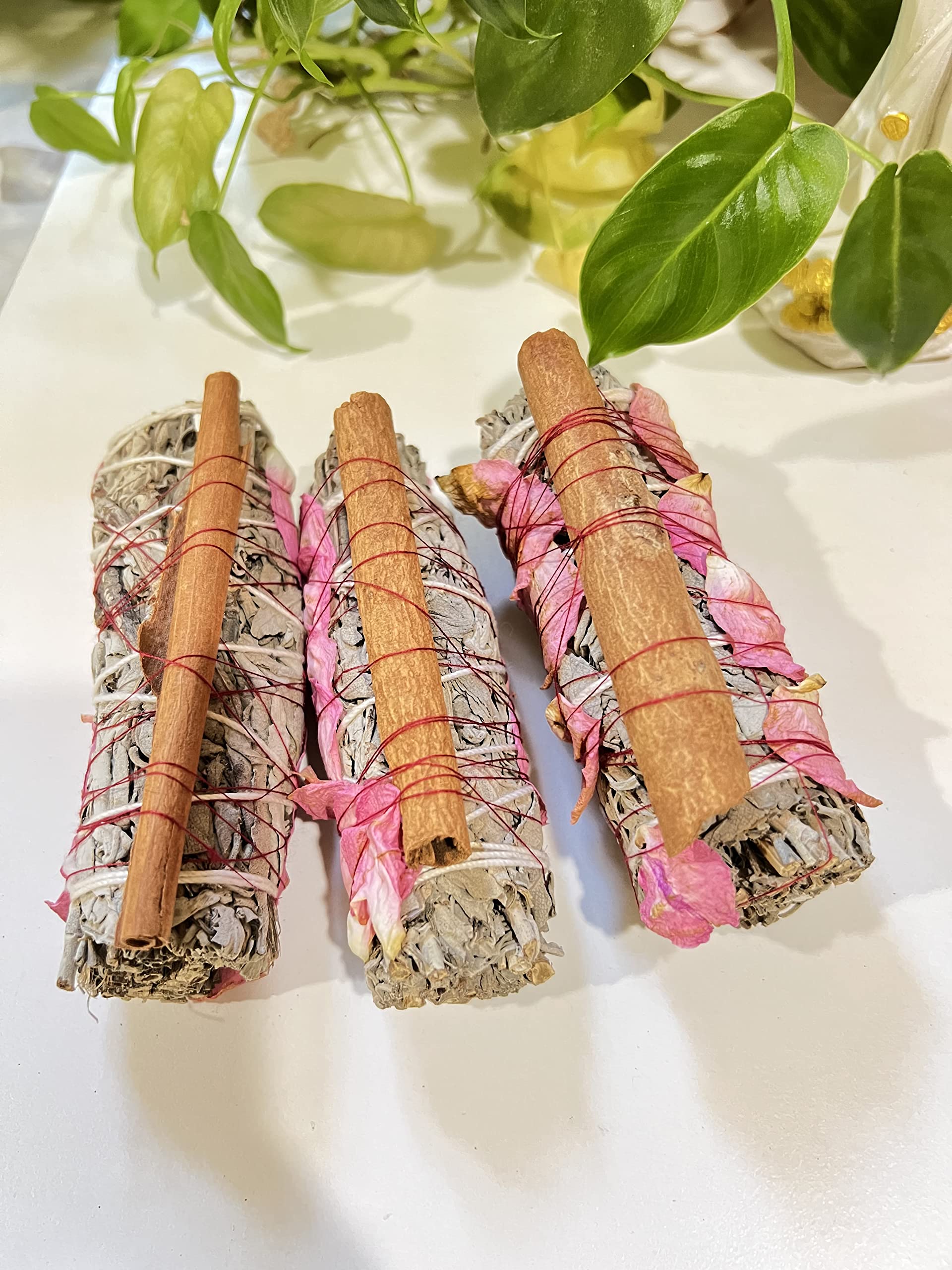 BAKA California White Sage 4 Inch Smudge Sticks for Home Cleansing, and Fragrance, Meditation, Smudging Rituals, Grown and Packaged (Sage with Cinnamon -1)