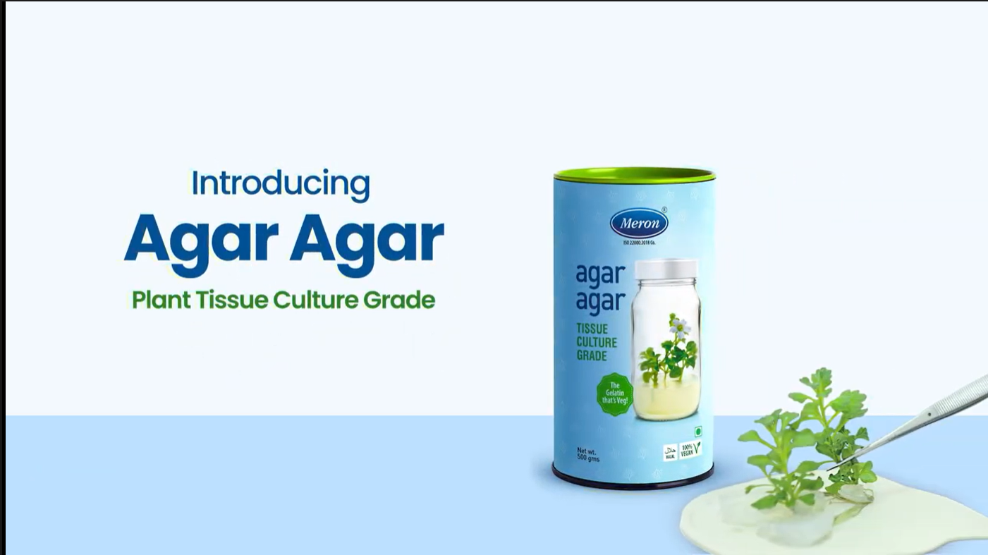 Meron Premium Agar Agar Powder  Tissue Culture Grade | High-Purity Gelling  Agent for Plant & Orchid Micropropagation | Ideal for Laboratory, Research  ...