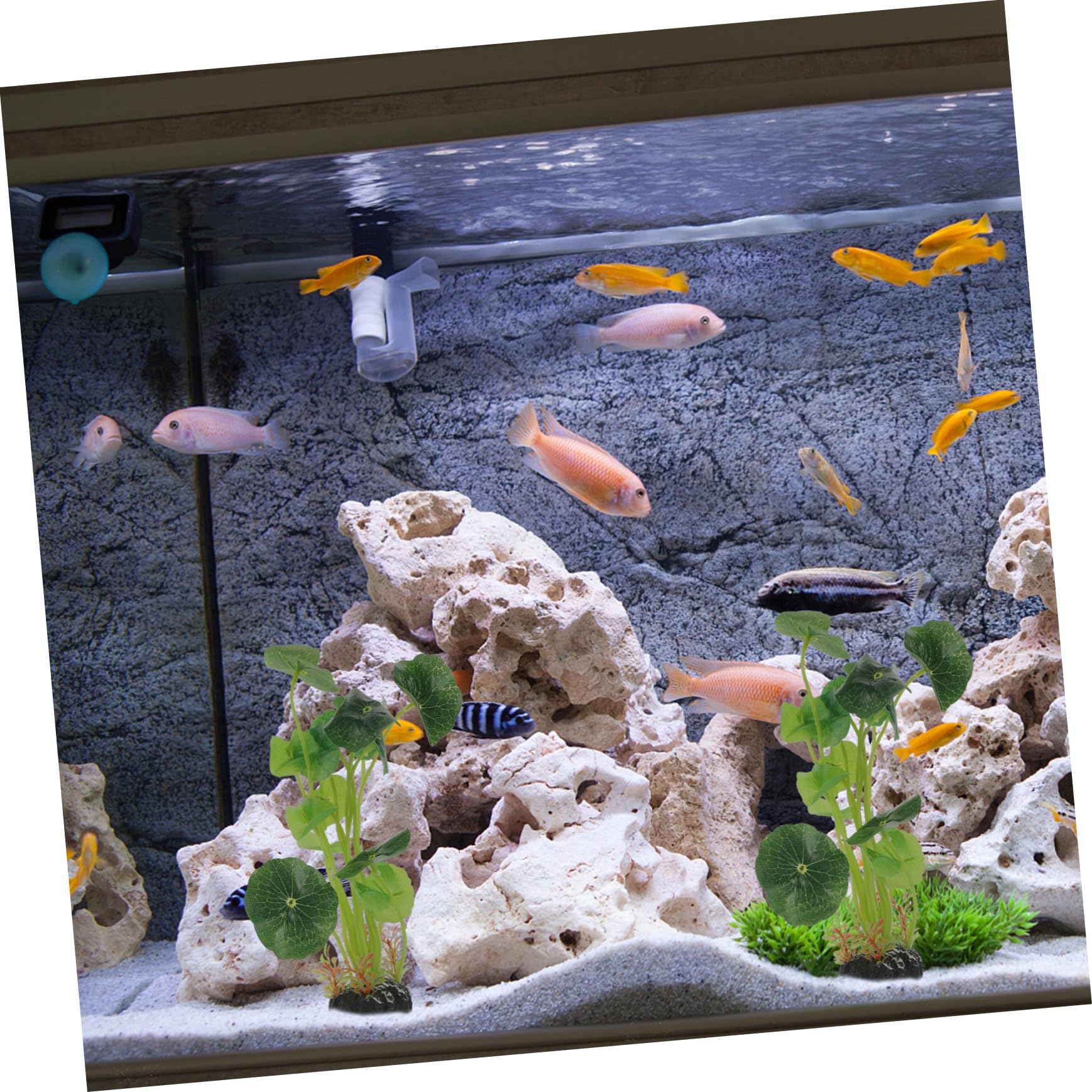 BESPORTBLE Knstliche Aquarienpflanzen Brunnen im Freien Netz Aquariumdekor  System kunstpflanze Aquarium Dekoration wasserpflanze geflschte ...
