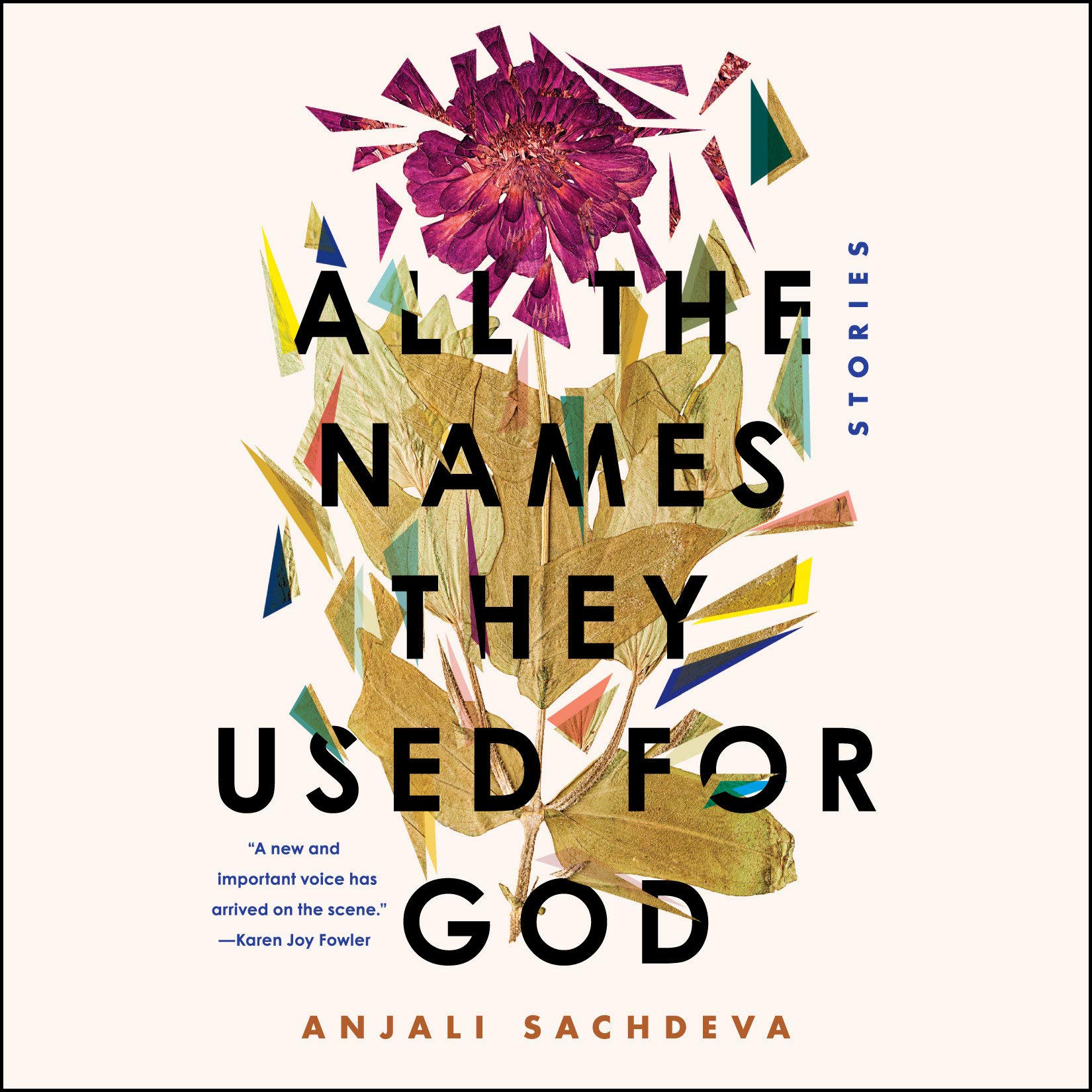 Cover art for All the Names They Used for God