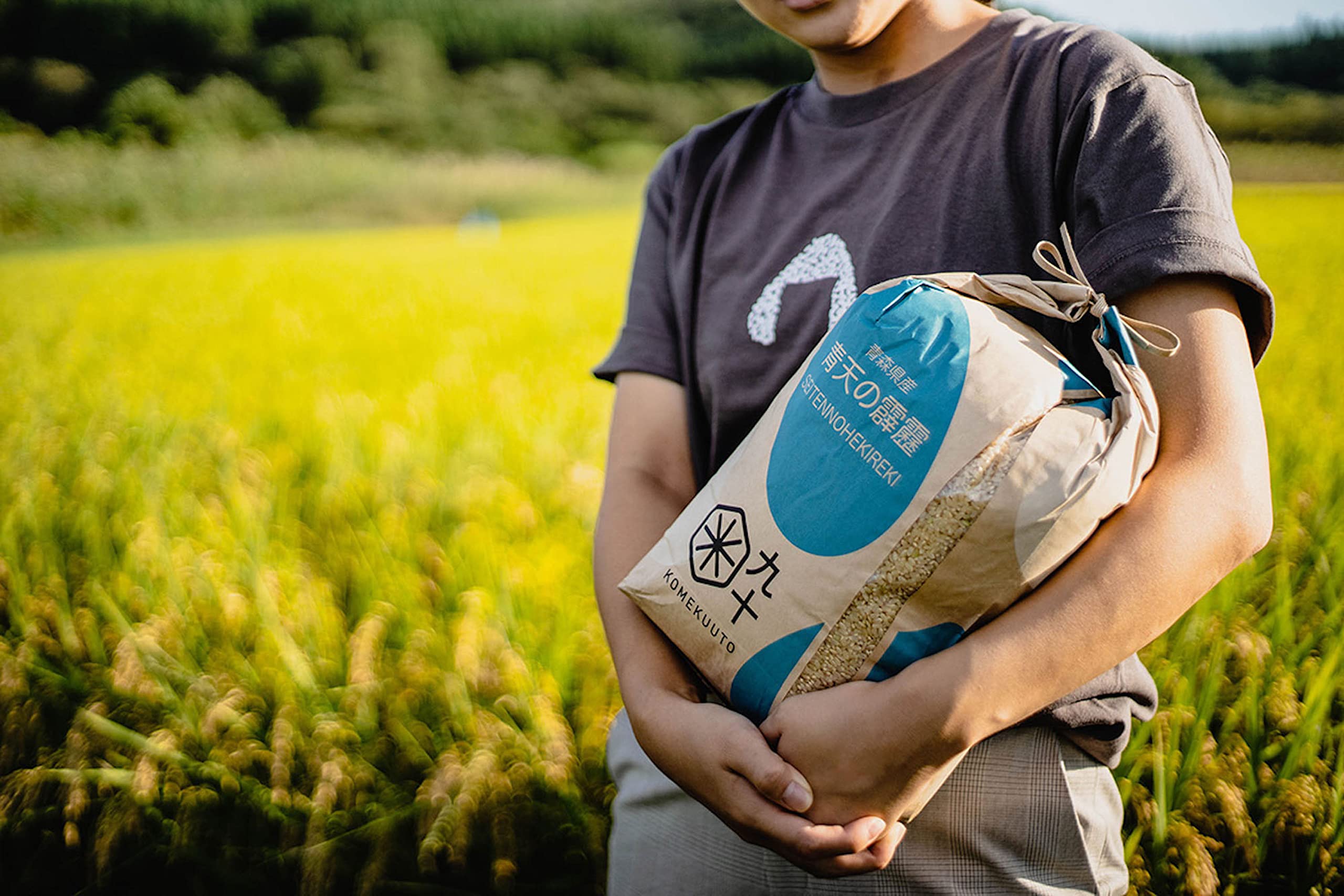 Amazon.co.jp: 令和7年青森県産 はれわたり (玄米5kg)【五つ星お米マイ 