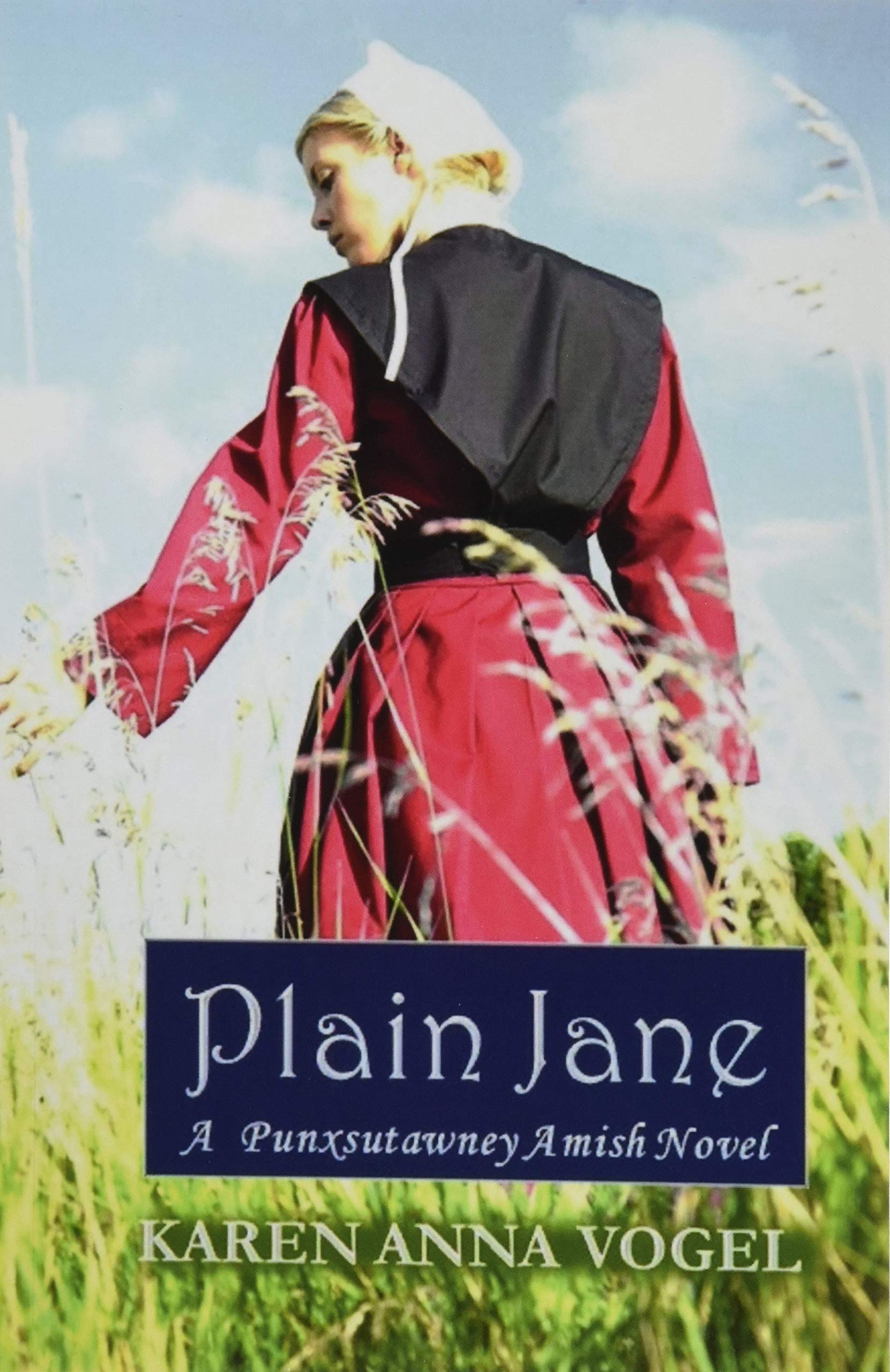 Plain Jane: A Punxsutawney Amish Novel (Bronte Inspired)