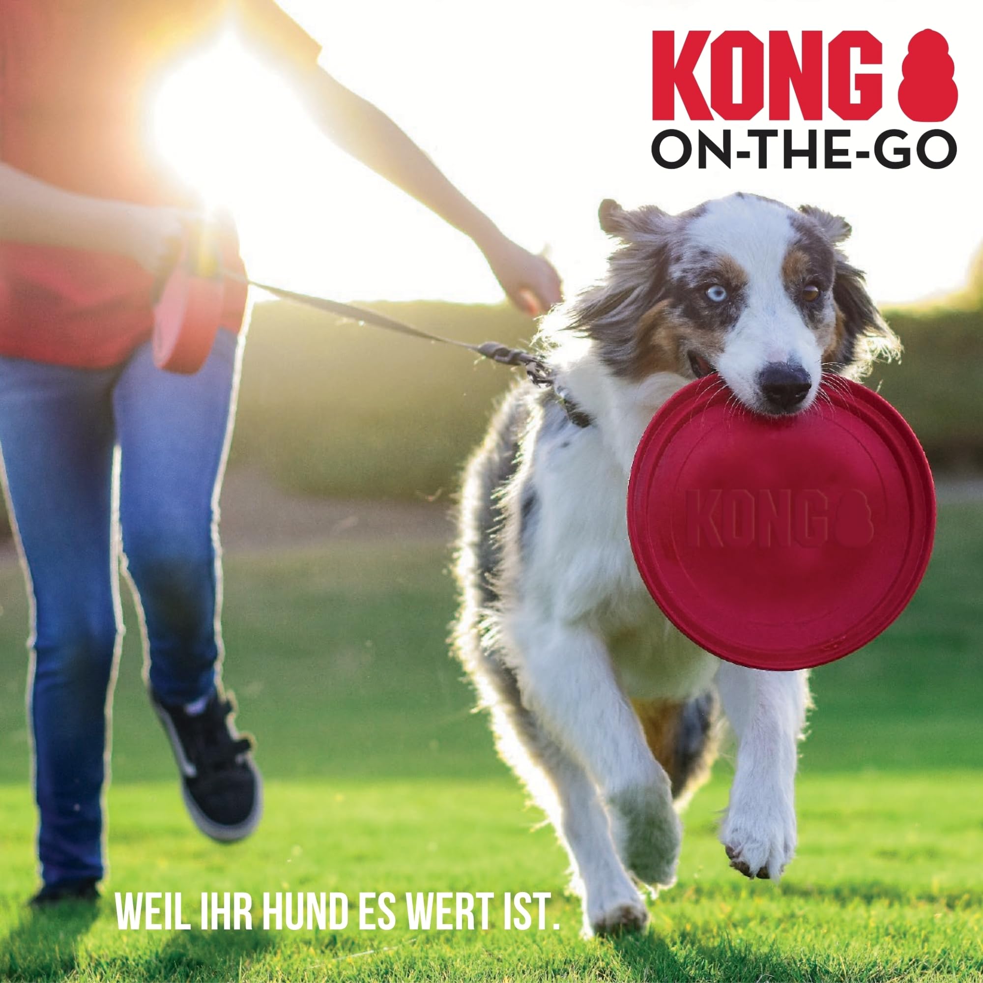 Hundeschuhe für große Hunde, rutschfeste Pfotenschutzstiefel mit weicher Polsterung, wasserdichte und langlebige Hundeschuhe für Spaziergänge im Freien, Hot Pavement & Winter (XL)