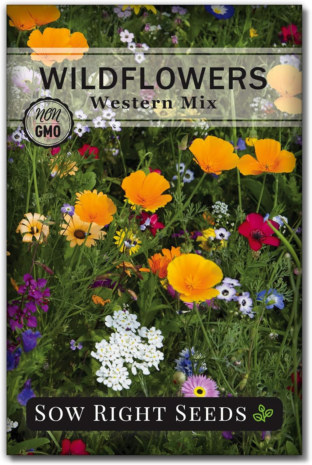 Sow Right Seeds Wildflowers Seeds Mix for Planting in