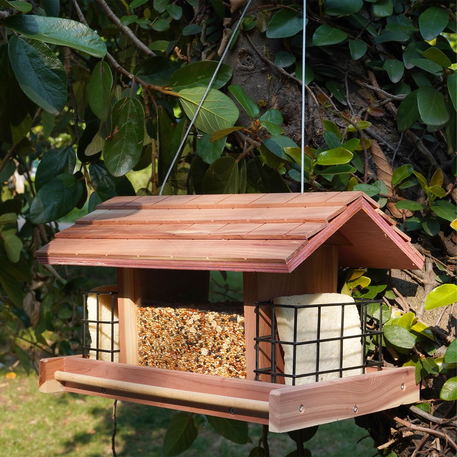 Liawm Red Cedar Wooden Bird Feeder
