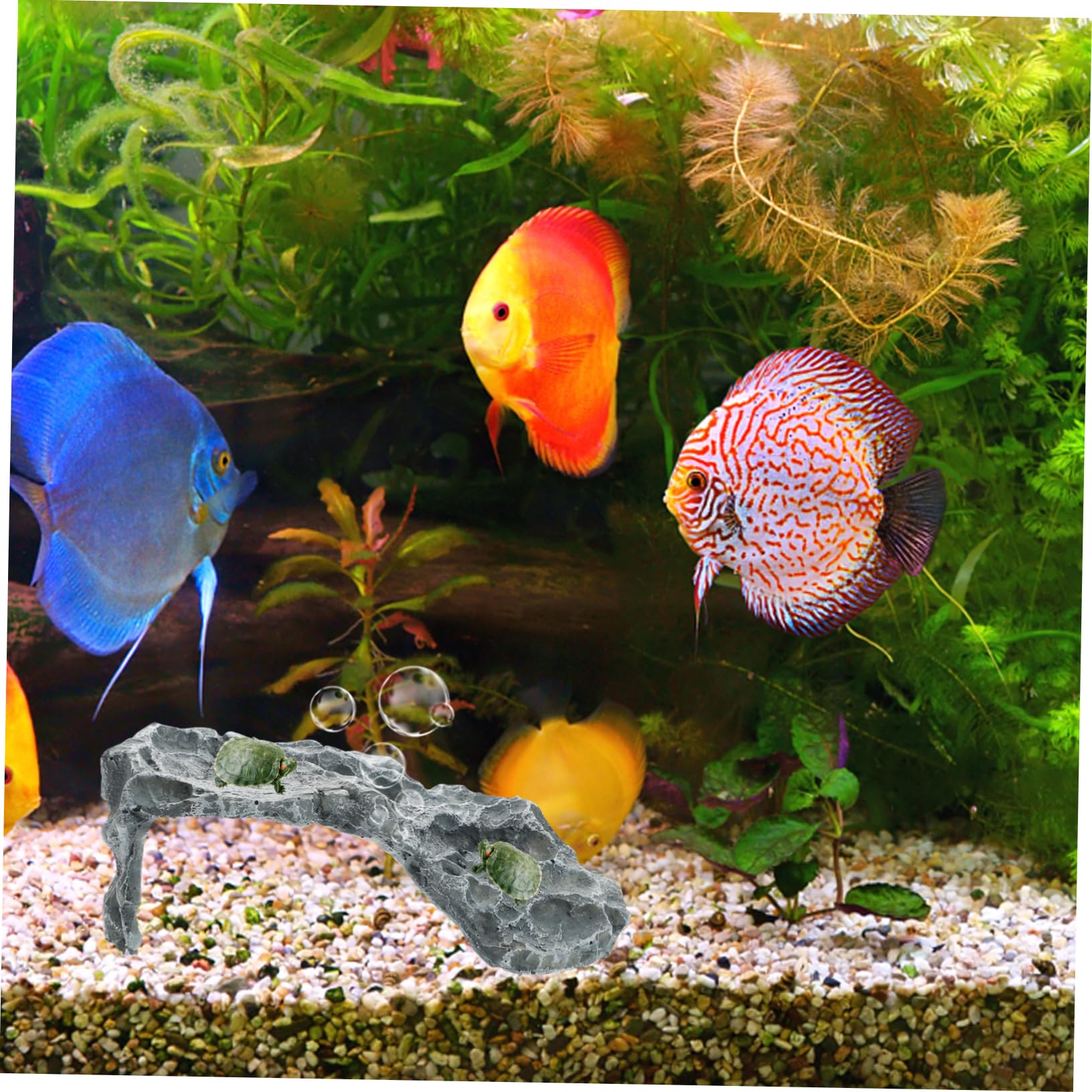 Housoutil Plataforma de Asoleamiento para Tortugas Pequeñas y Reptiles Material de Resina Cómoda para Terrario y Acuario Decorativo para Hábitat de Tortugas