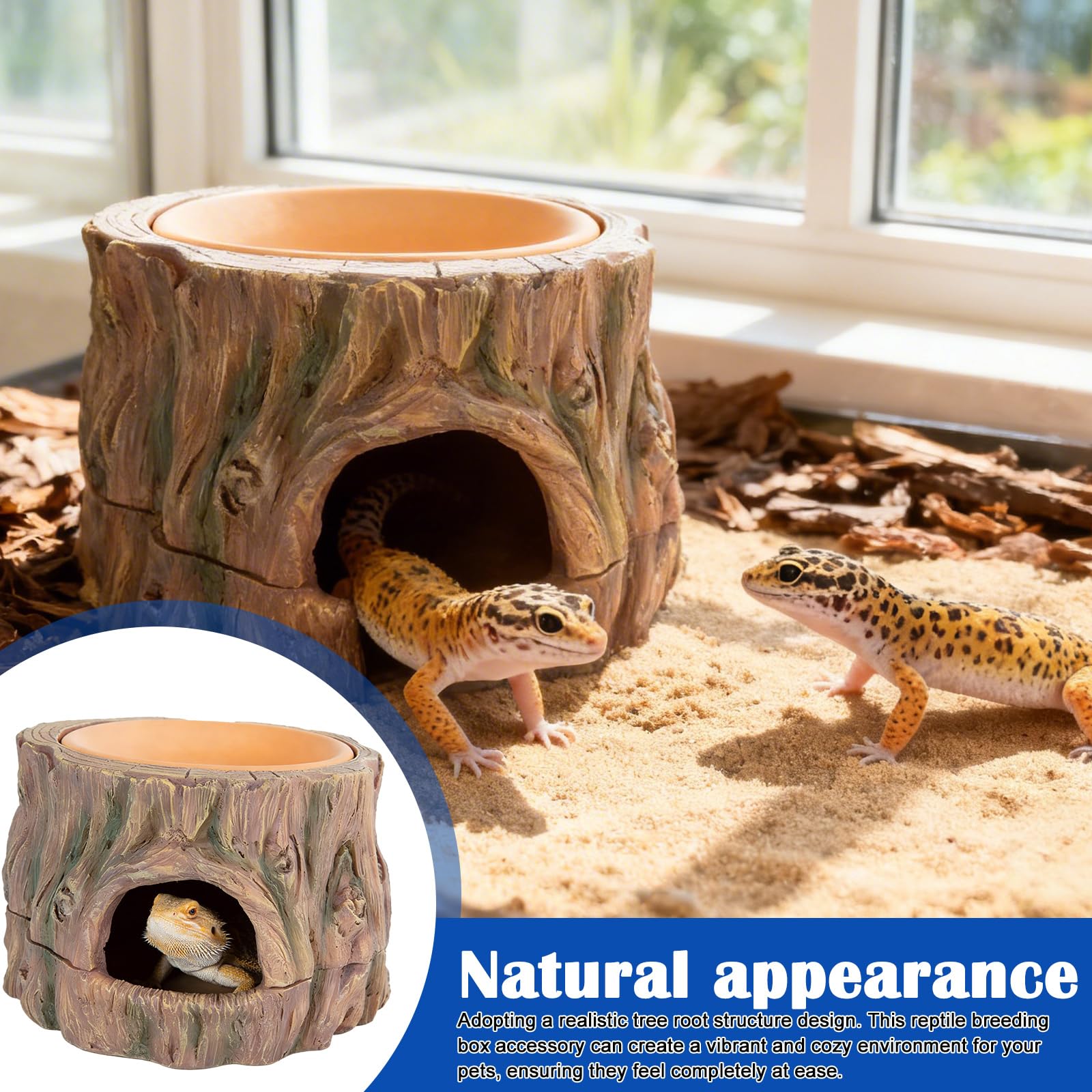 Reptiles 3 en 1 Cueva Ocultar Reptiles Protección: Cueva de reptiles, accesorios de terrario, anfibios escondite con hidratante, para gecko, lagartos, dragón barba, 16,2 × 15,2 × 1,5 cm
