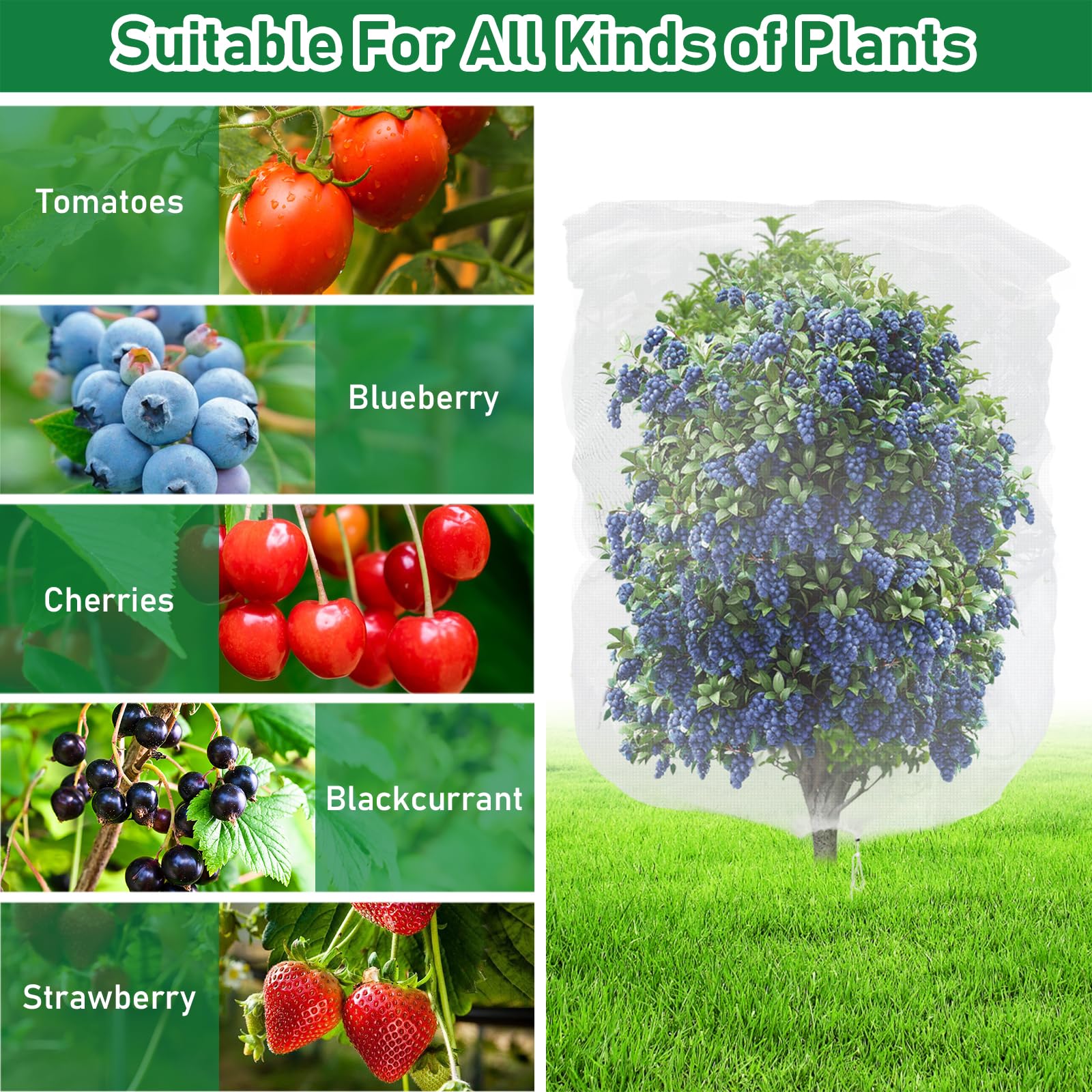 Filet De Jardin En Maille Pour Plantes, Arbres Fruitiers, Cage à Fruits