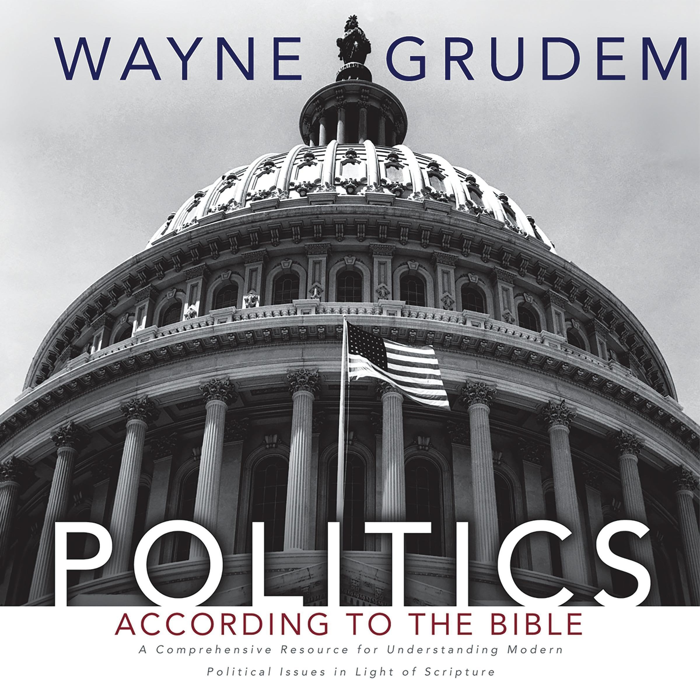 Cover art for Politics - According to the Bible