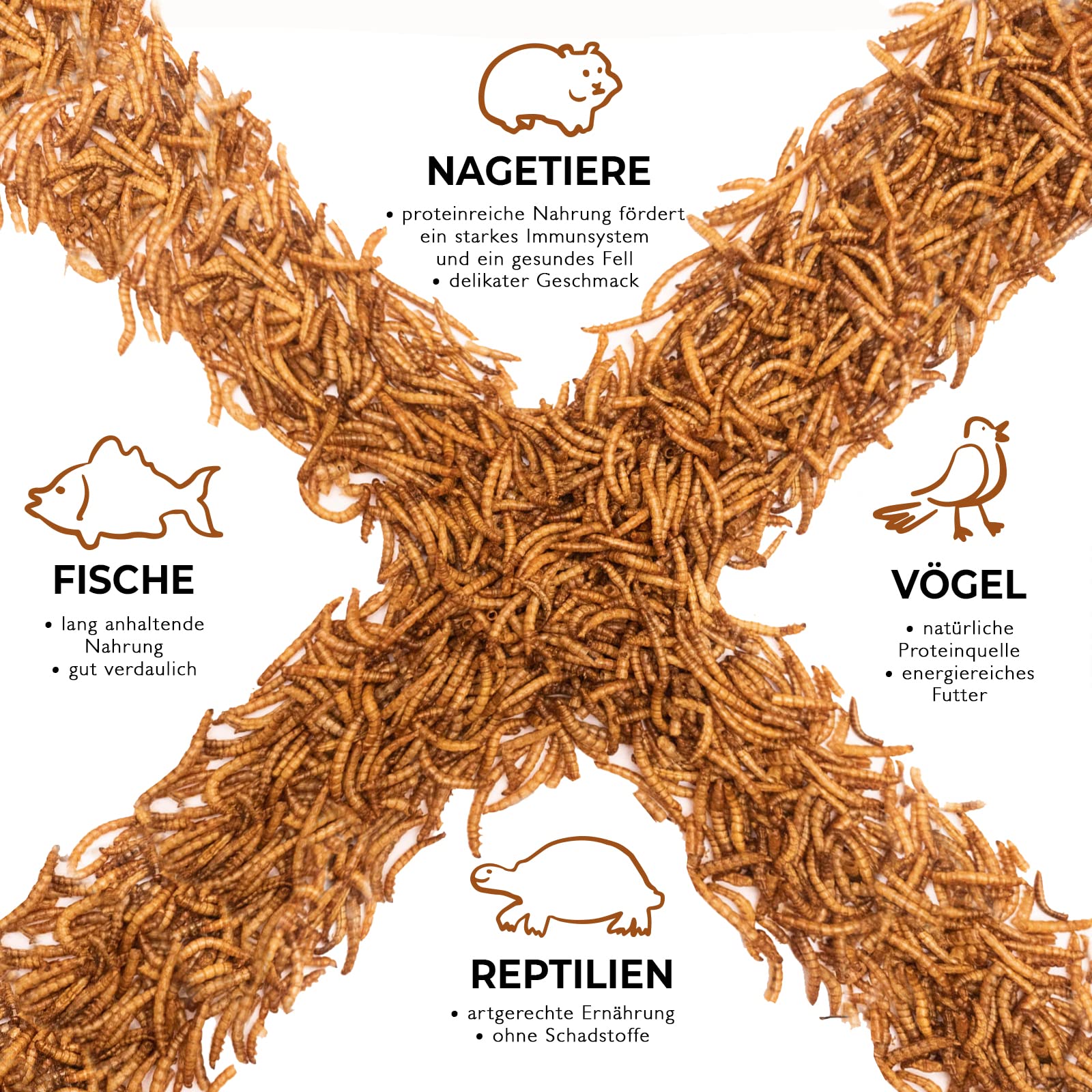 Mehlwürmer getrocknet, 2kg (entspricht 13 Litern) getrocknete Mehlwürmer, proteinreicher Snack für Wildvögel, Fische, Reptilien und Nager