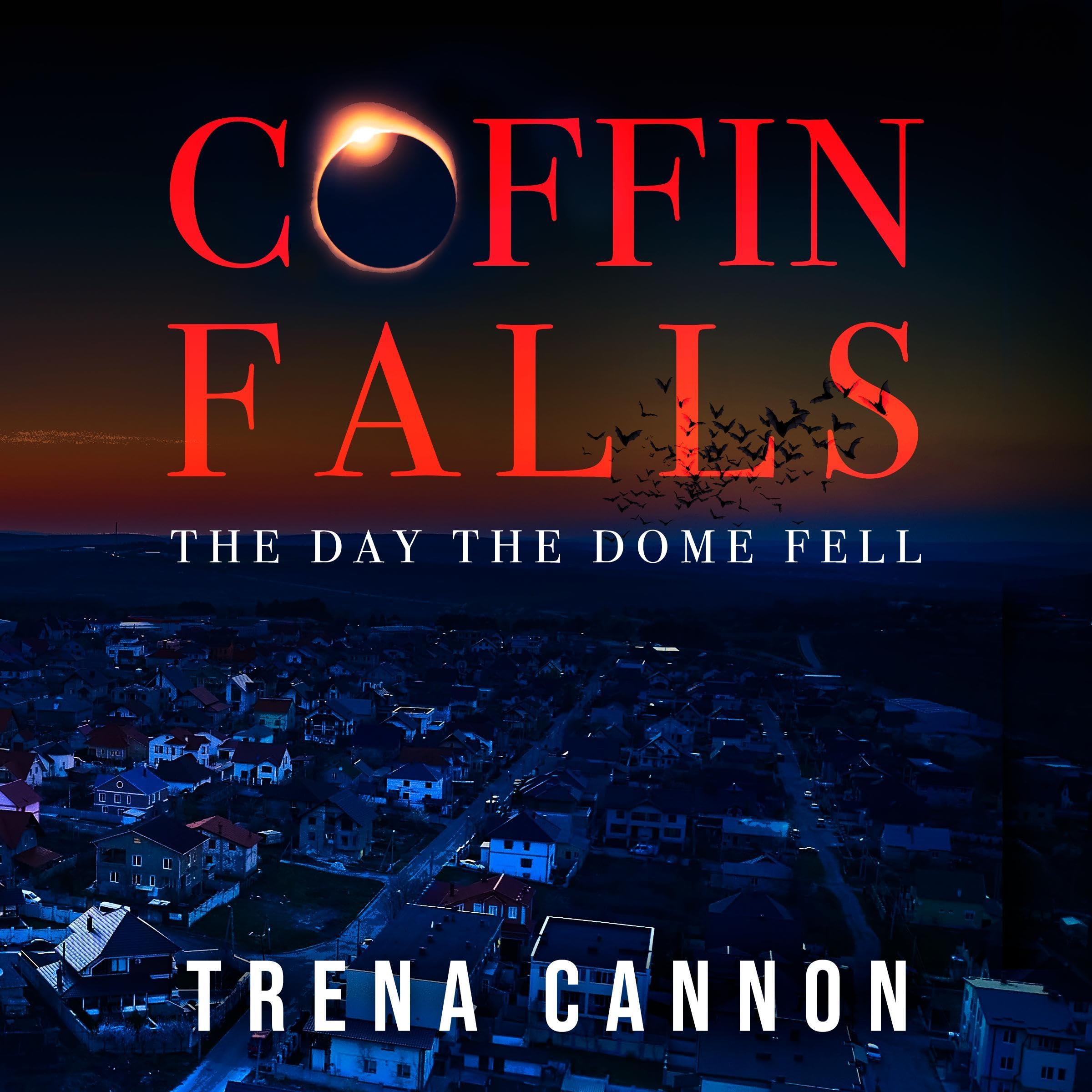 Cover art for Coffin Falls