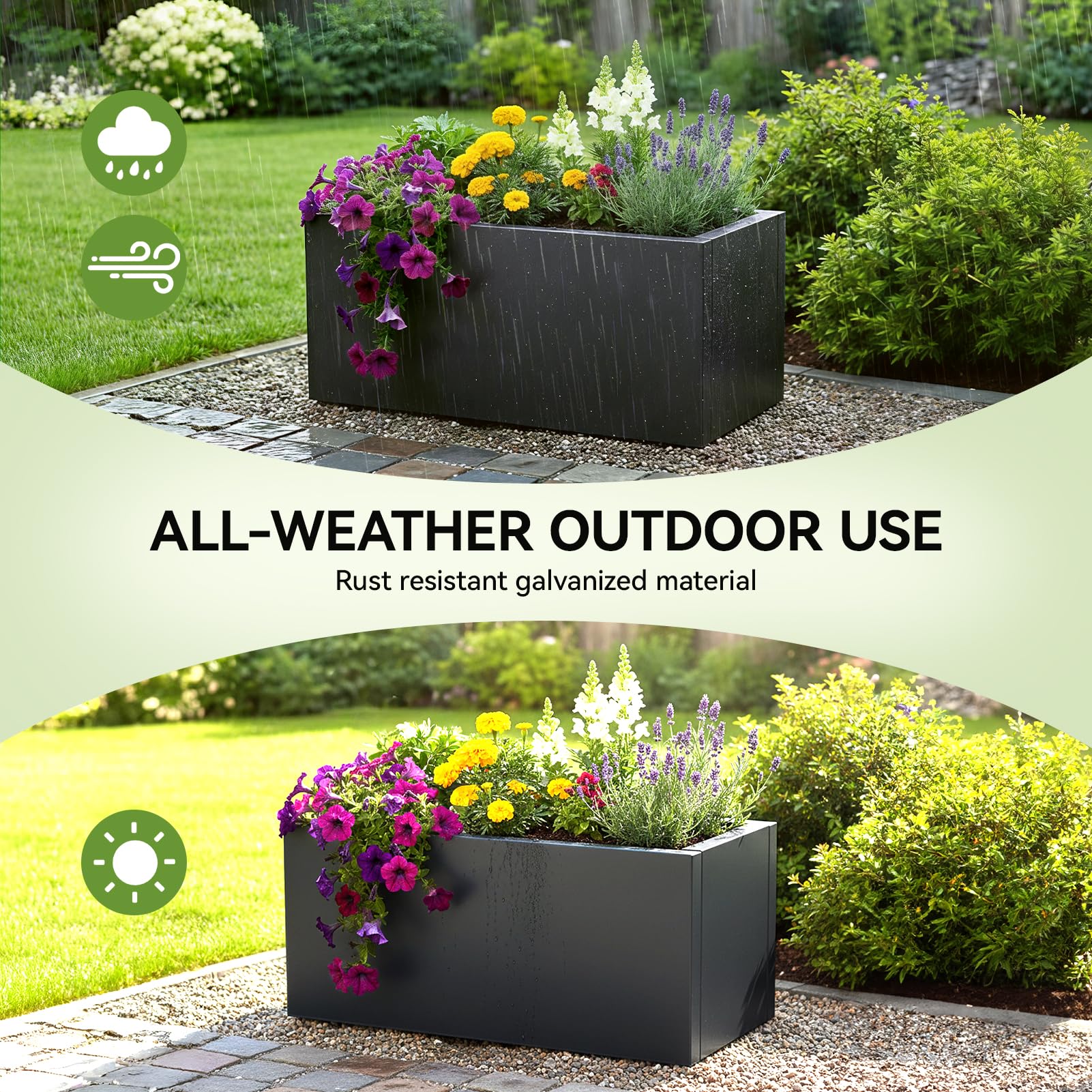 View 4