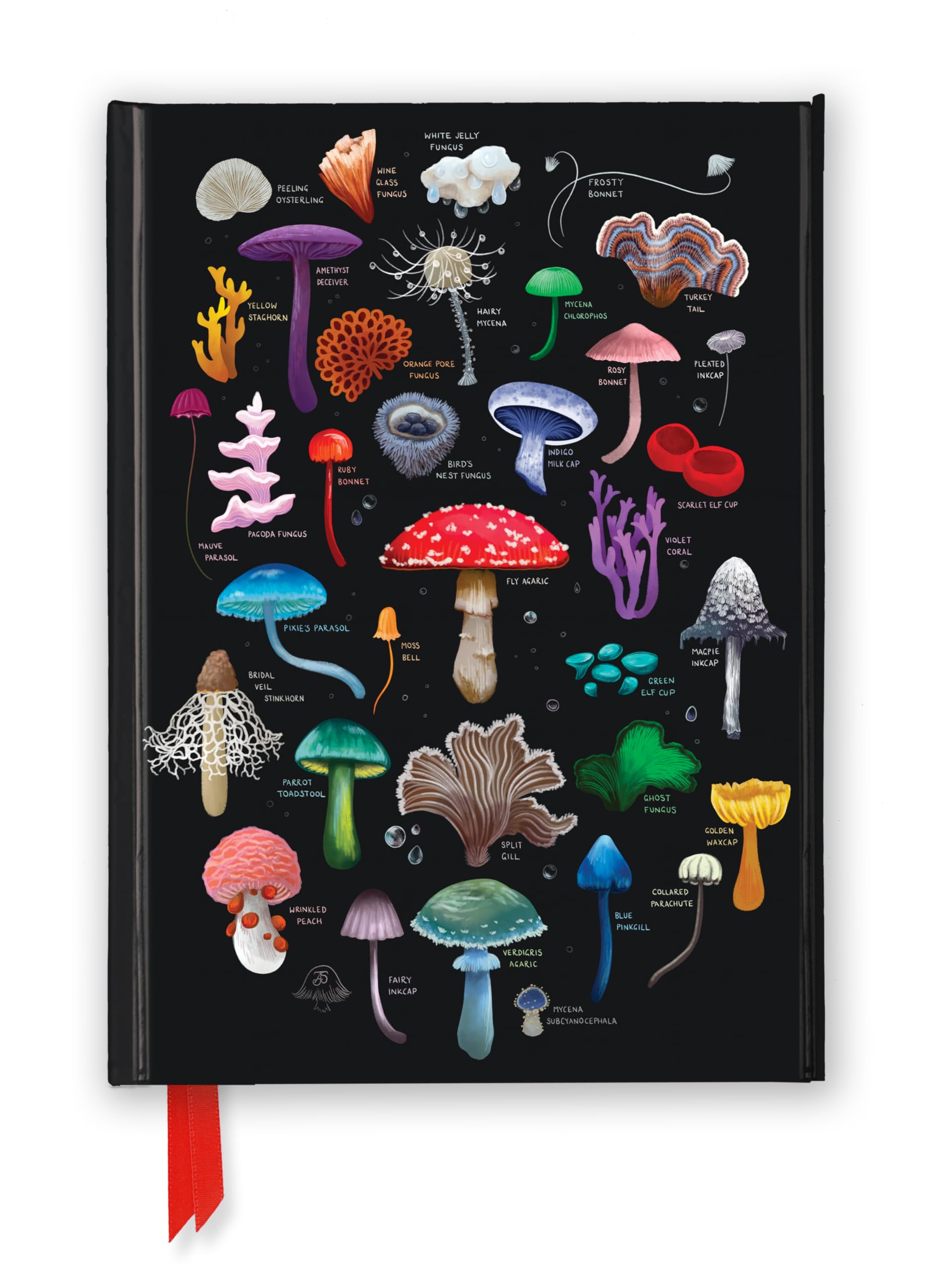 Anna Stead: Mushrooms & Fungi (Foiled Journal) (Flame Tree Notebooks)
