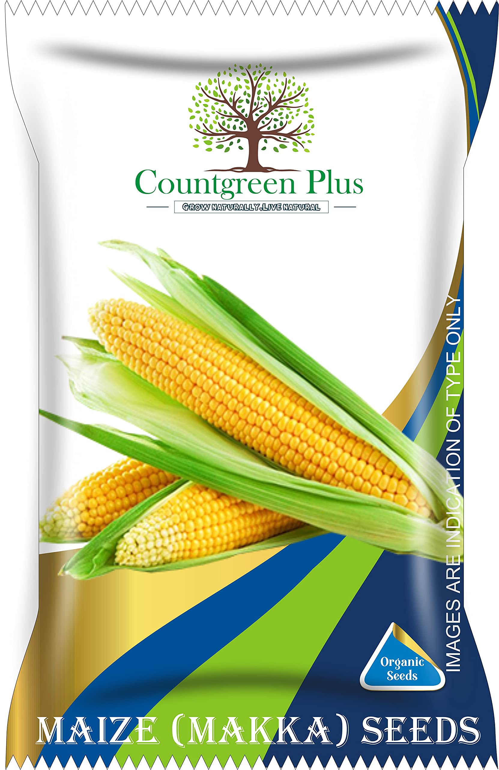 Countgreen Plus Maize (Makka/Bhutta) Vegetable Gardening Seeds for Planting Pack of 40 Seeds