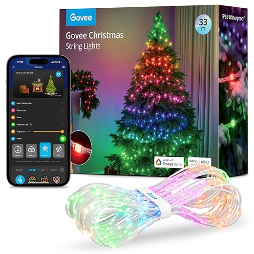 Guirlande Lumieuse Extérieure 10M Govee RGBIC