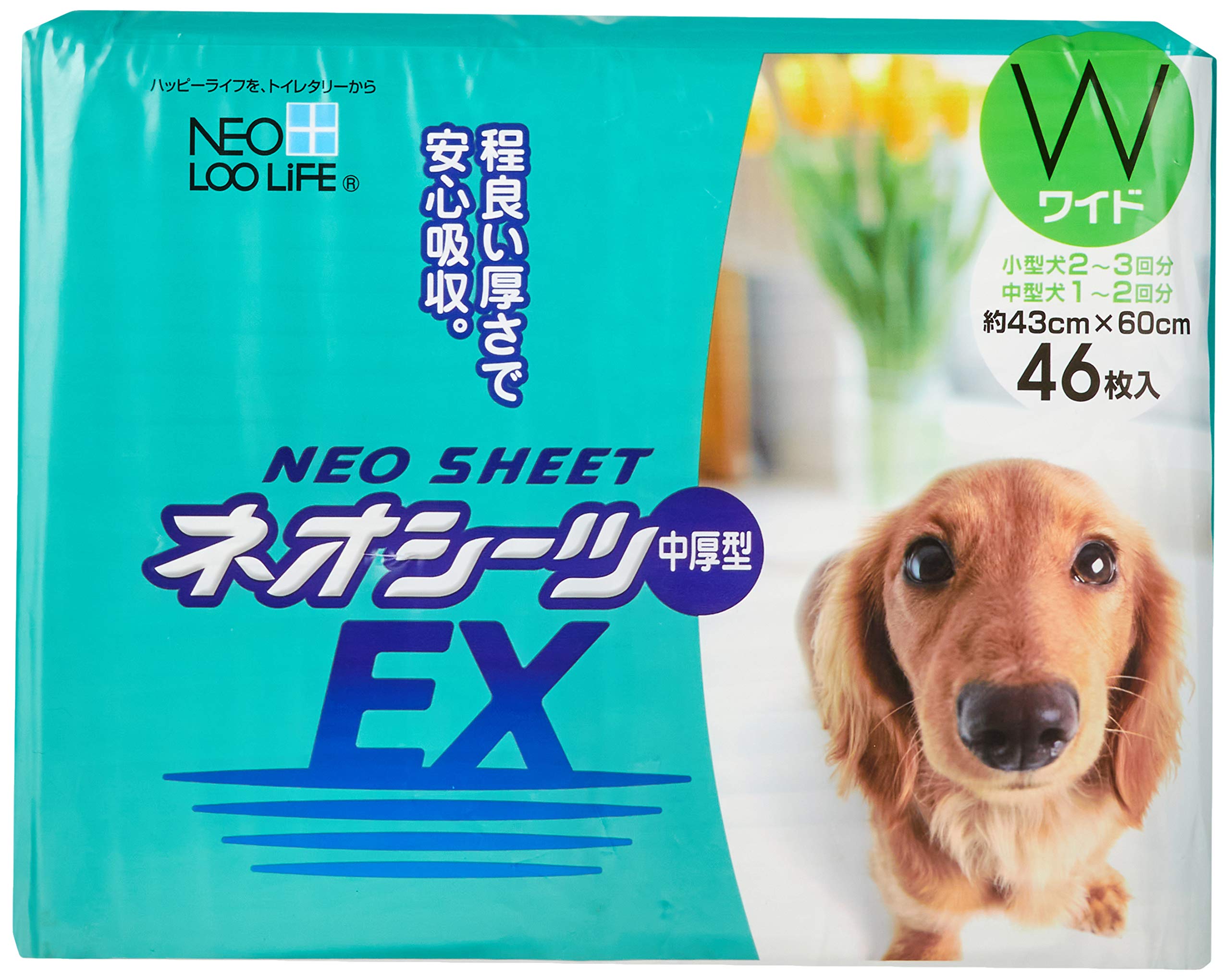Neo Loop Life Neo Sheets EX