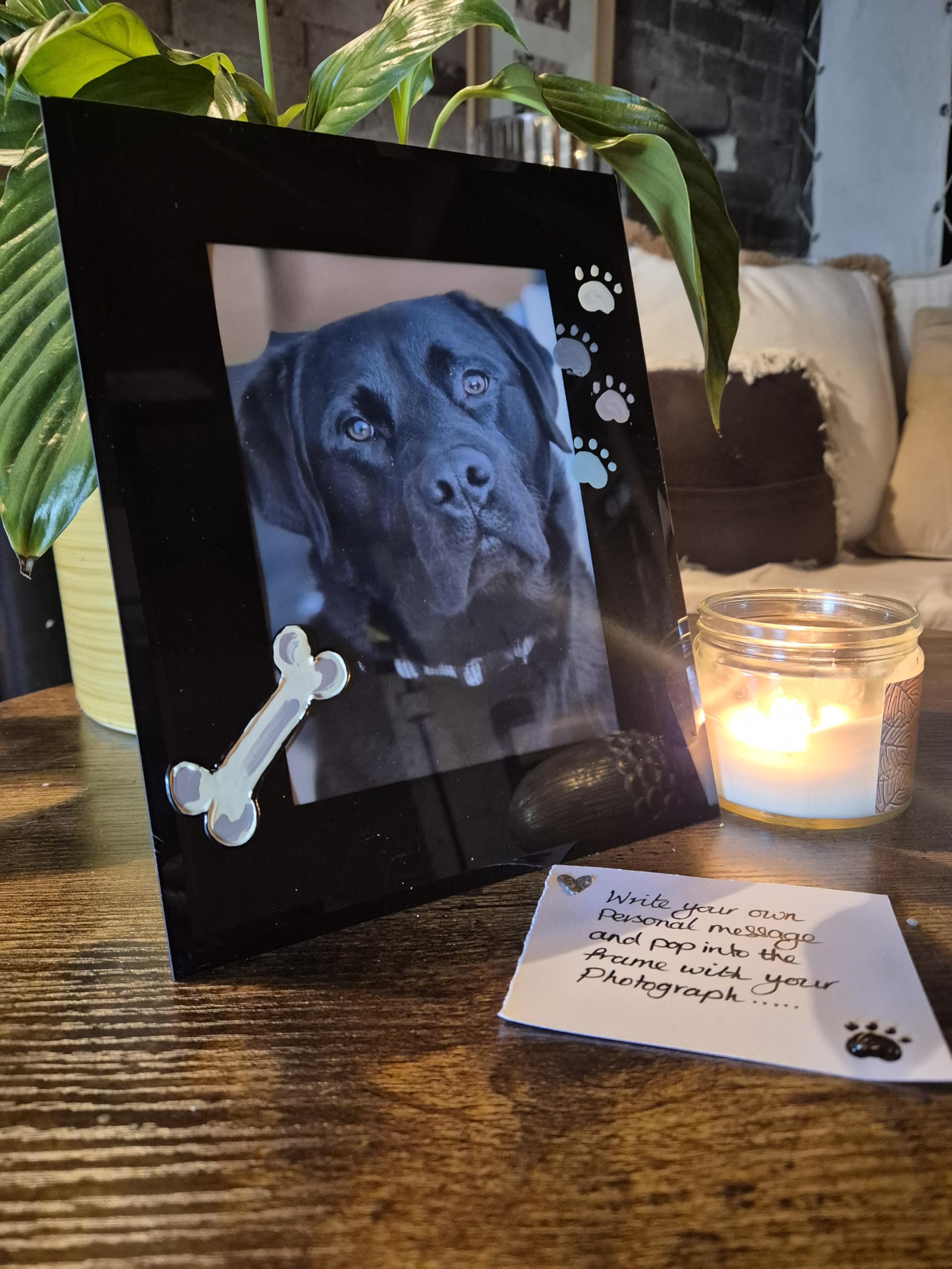 Dreamair Black Dog Bone & Paws Photo Frame Portrait 5"X7"
