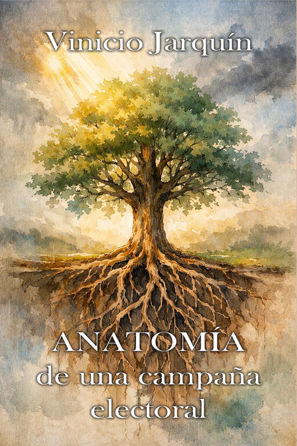 Anatomía de una campaña electoral