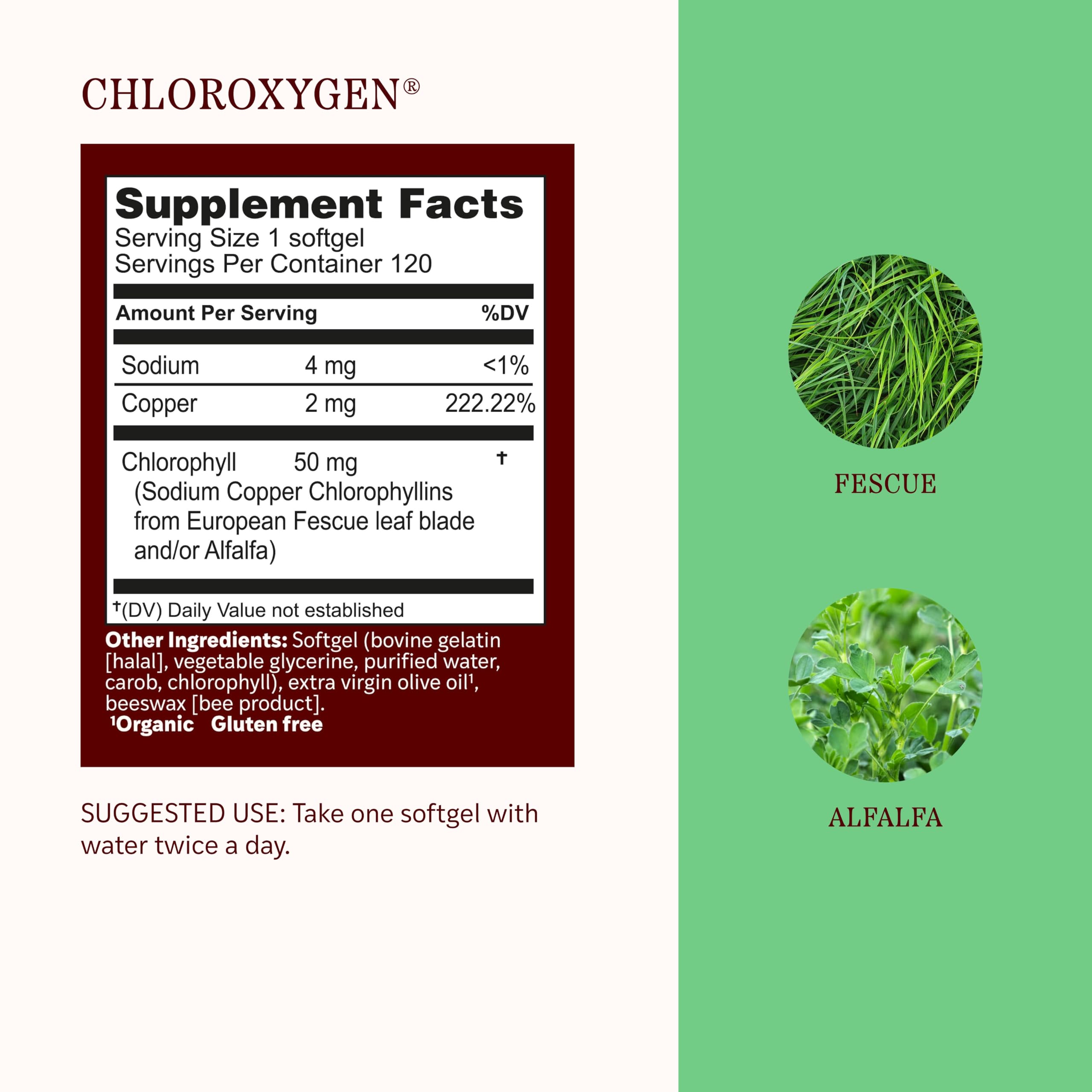 Herbs, Etc. ChlorOxygen Chlorophyll Concentrate Softgels, 120 Count — Amazon image 4