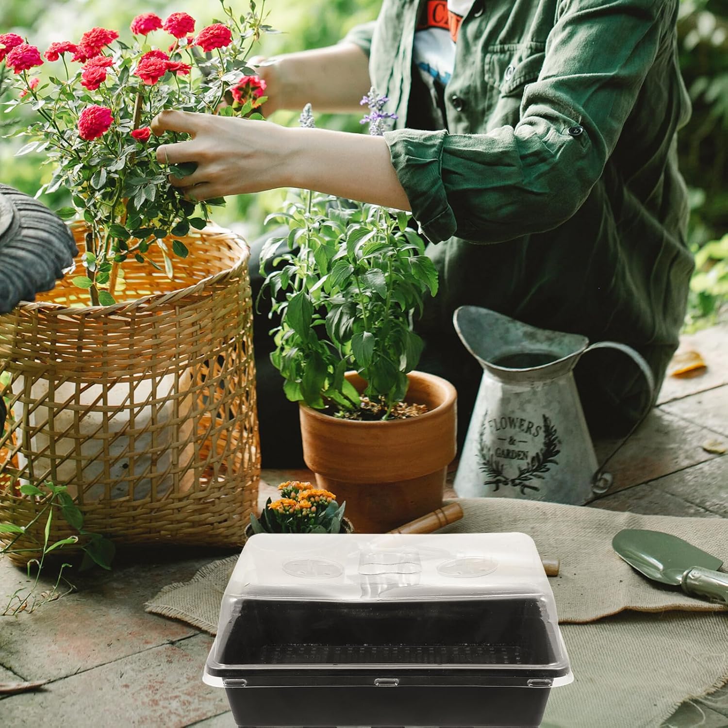 5 Sets Plastic Seedling Starter Trays with High and Low Covers 35x27.5x7.5cm for Indoor and Greenhouse Plant Germination and Garden Growing Supplies