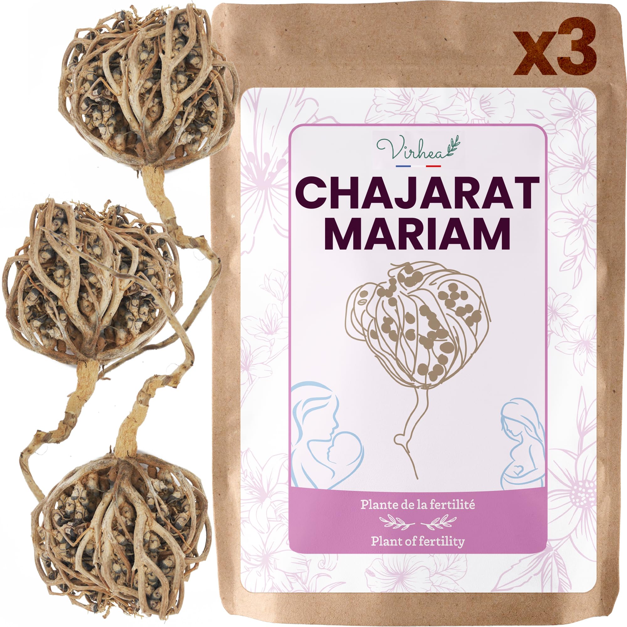 Rose von Jericho Chajarat Mariam x3 - Echte Maryam Pflanze - Wunderschöne Kaf Pflanze für Dekoration - Ideal für Ihre Wohnung oder als Geschenk