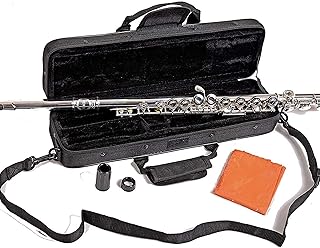Flute Professional Flute with Complete Set
