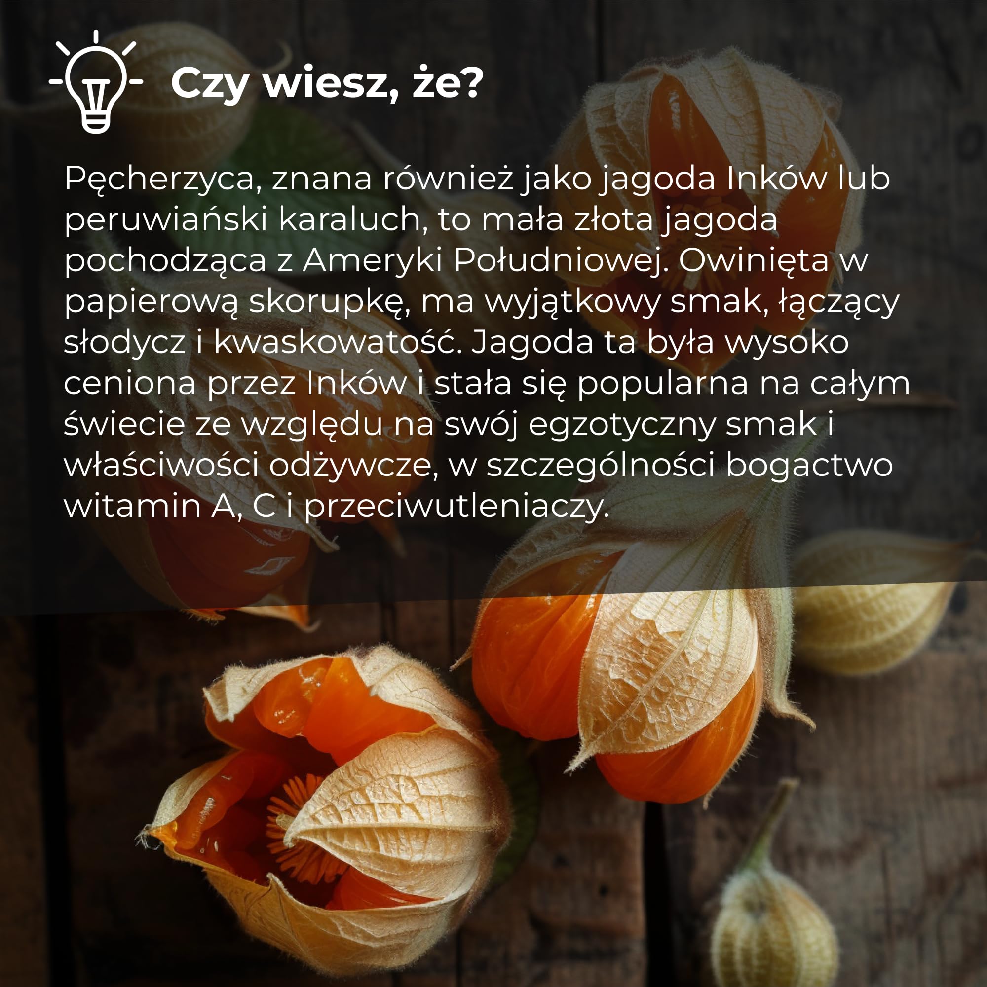 Pęcherzyca suszona 1 kg | jagody Inka | Kapagrest, suszone owoce | naturalne, suszone jagody, surowa pęcherzyca cała i odwodniona, bez soli | miękka tekstura | wegańska i wegetariańska