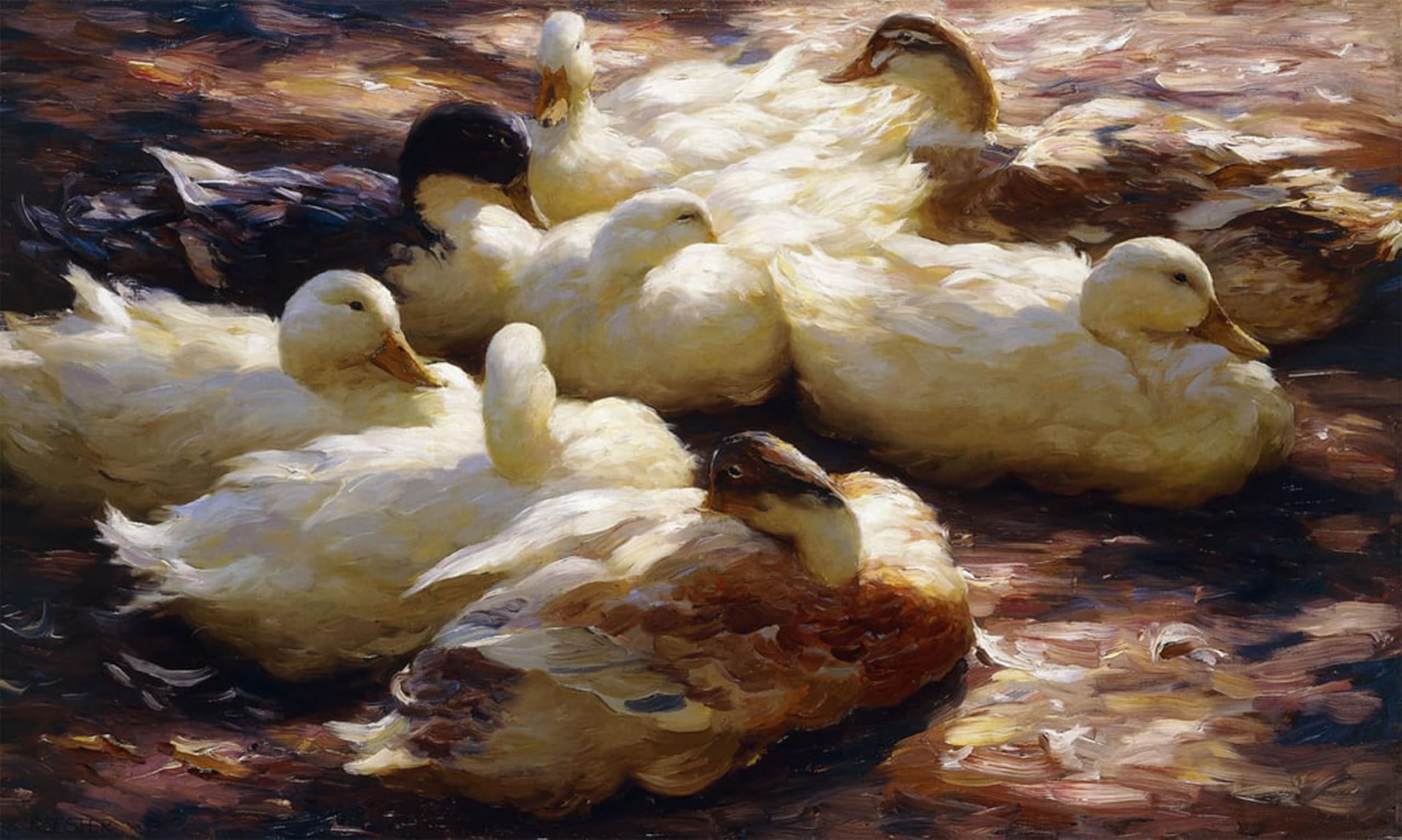 ARTXLXXBN Famous Painting Canvas Artwork Graffiti Print Ducks on a Riverbank by Alexander Koester Portrait Canvas Image for Home Decor 60x90cm
