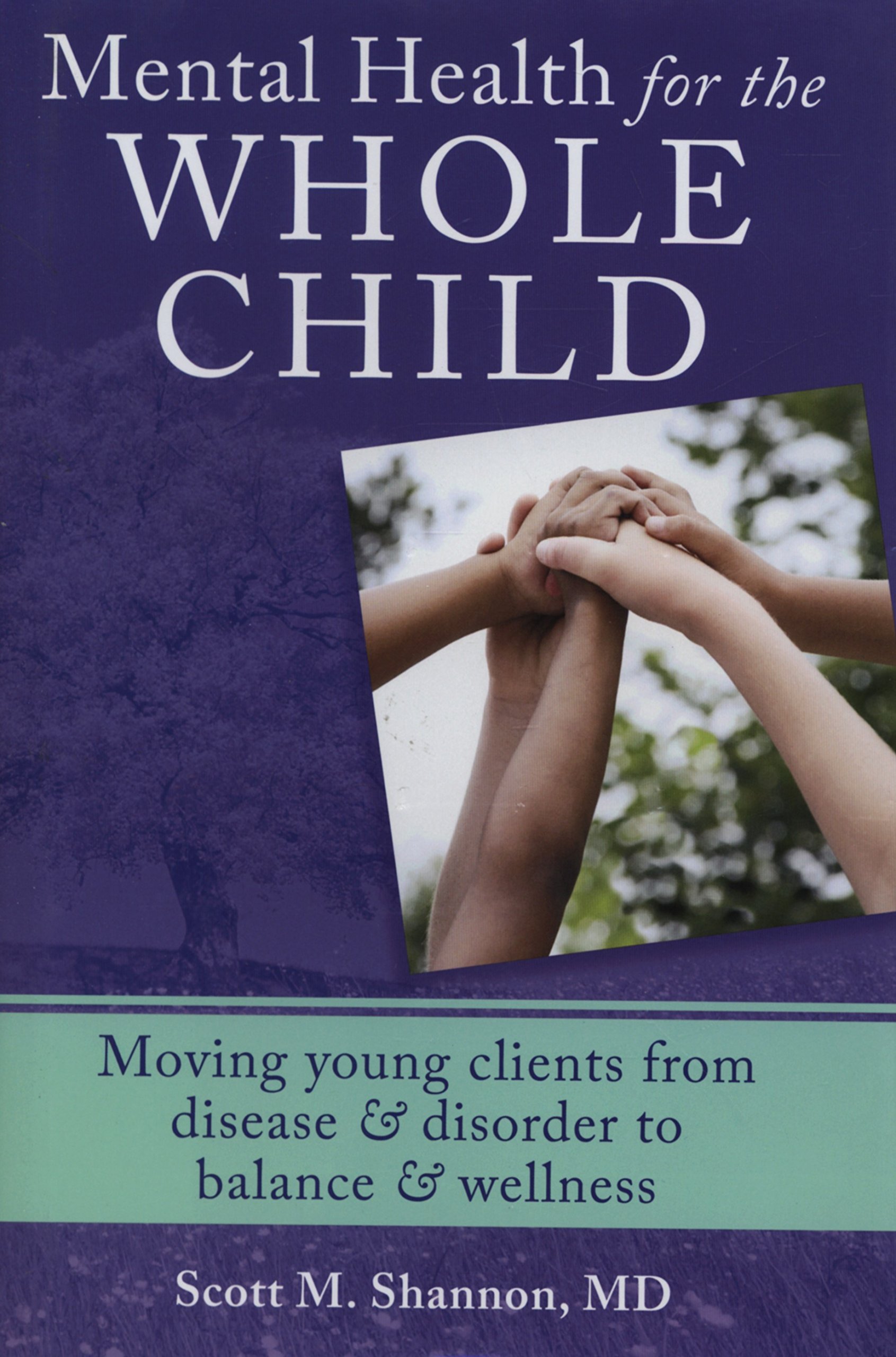 Mental Health for the Whole Child: Moving Young Clients from Disease & Disorder to Balance & Wellness Hardcover – Illustrated, 22 July 2013