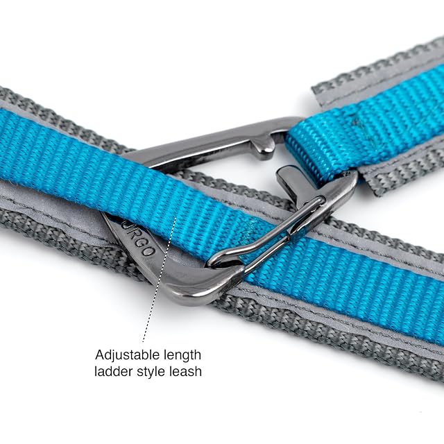 Foto 3 de 8 de Kurgo Quantum - Correa 6 en 1, Cinturón Manos Libres para Perro, Correa de Cintura para Correr, Tirante Dog…