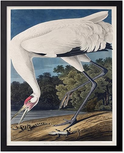 Miniatura 100 de Poster Master Póster vintage de colibríes, impresión de formas de arte retro en la naturaleza, arte de pájaros, regalo para él, ella y amante de los