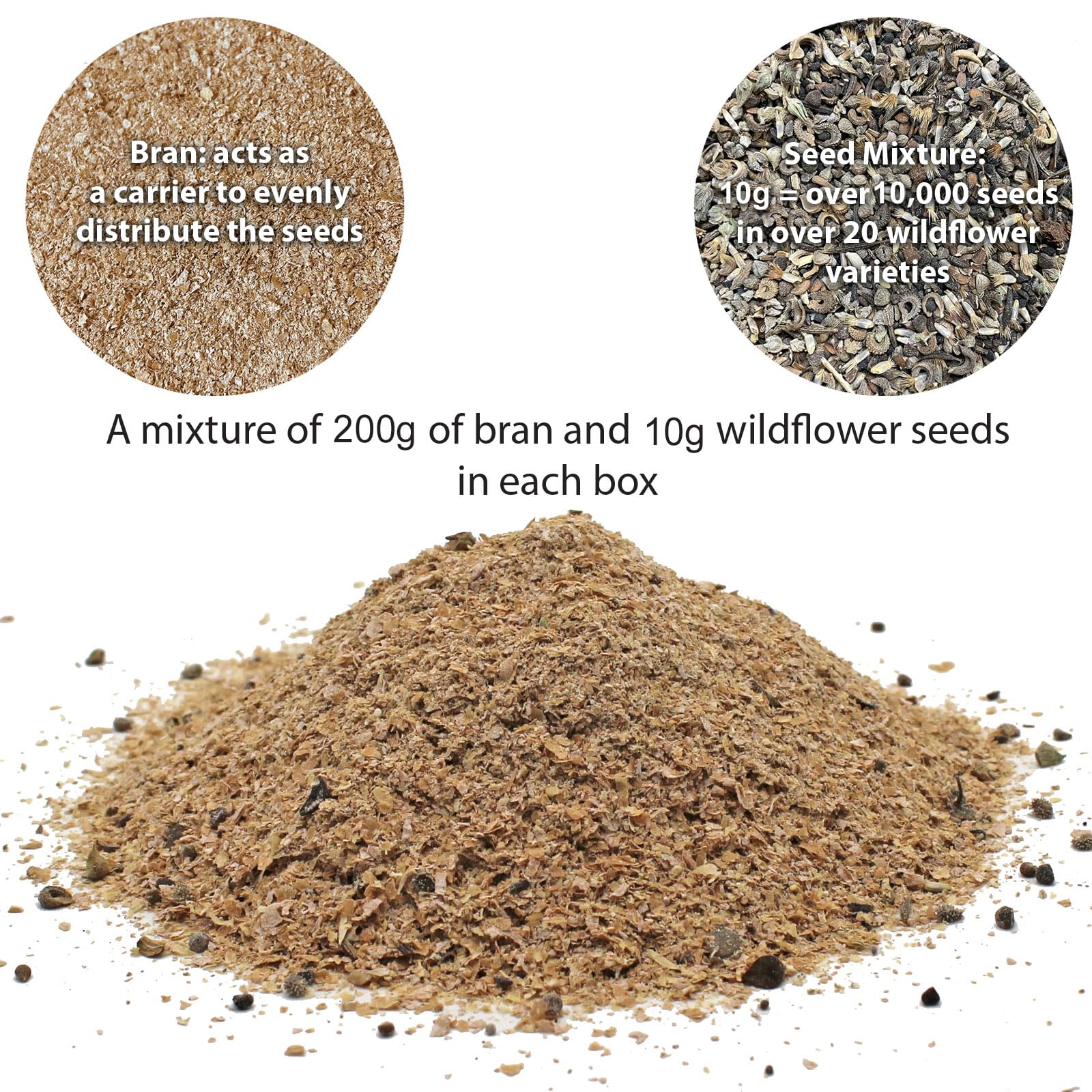 Pronto Seed Wild Flowers Seeds - UK Mixed Variety Pack - Selected Wildflower Seed Mix for Garden & Meadow Areas - Native British Blooms, Covers 25m2 (Meadow Garden) — view 7
