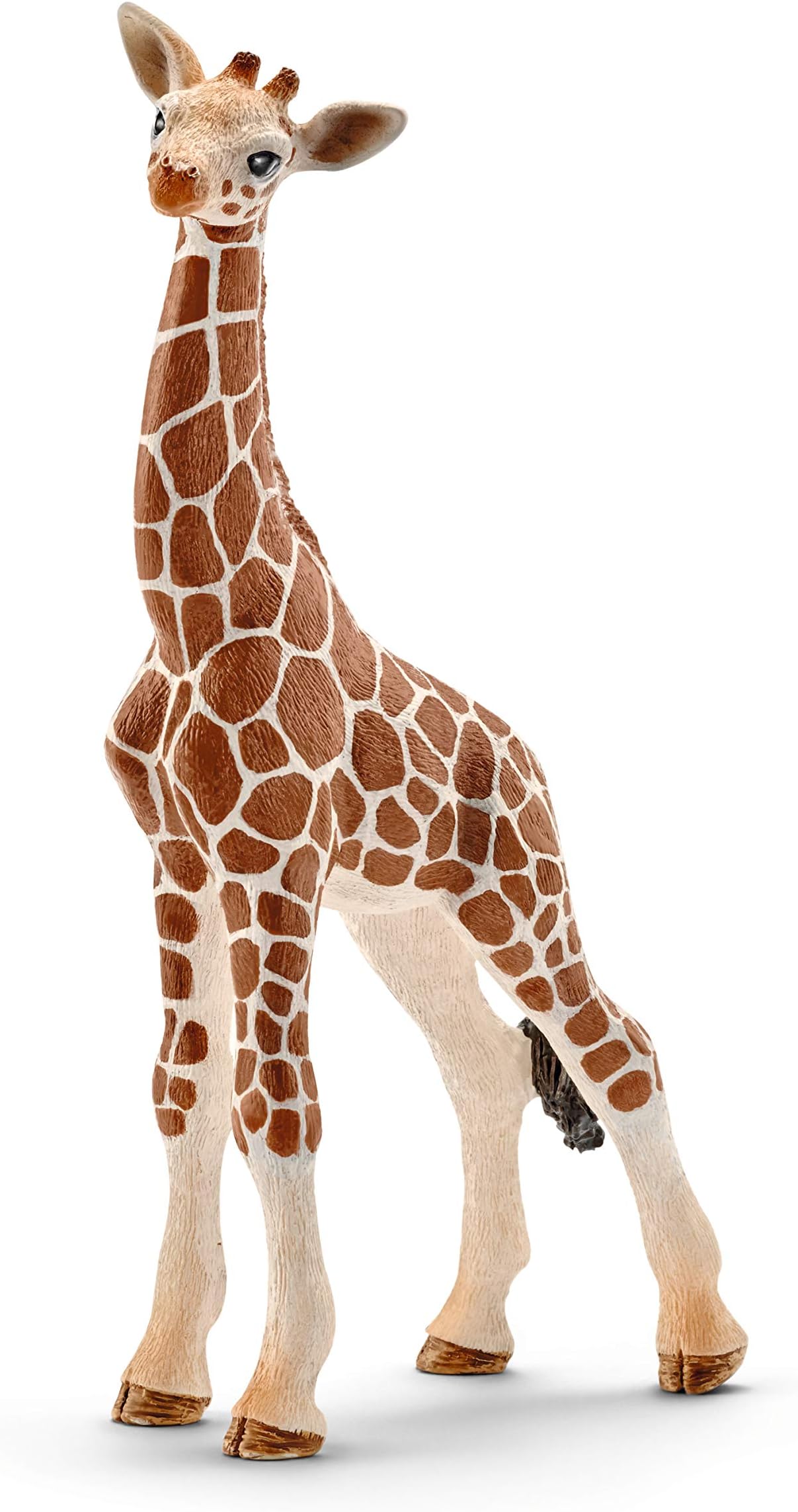 Schleich Figurine Phoque Wild Life - Jouet Éducatif Dès 3 Ans, 11.2x6.5x4.2cm