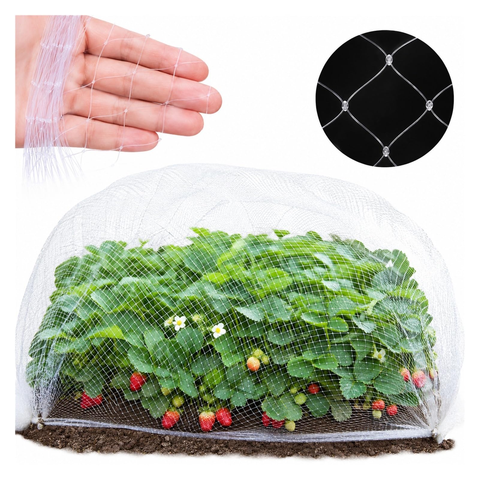 Malla Antipajaros Ligera Resistente, Red Antipajaros Antigranizo Inofensiva Fácil, Nylon UV Corrosión Resistente, Transpirable para Árboles Frutales, Fresas, Guisantes, Legumbres(30 * 30m)
