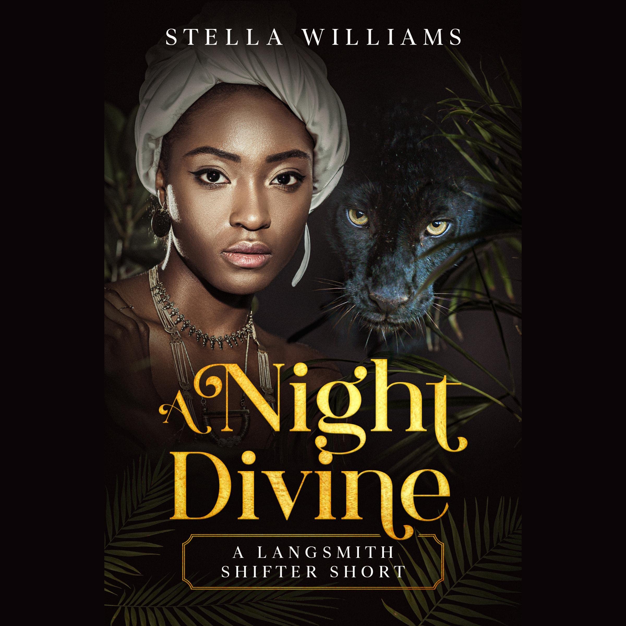 Cover art for A Night Divine