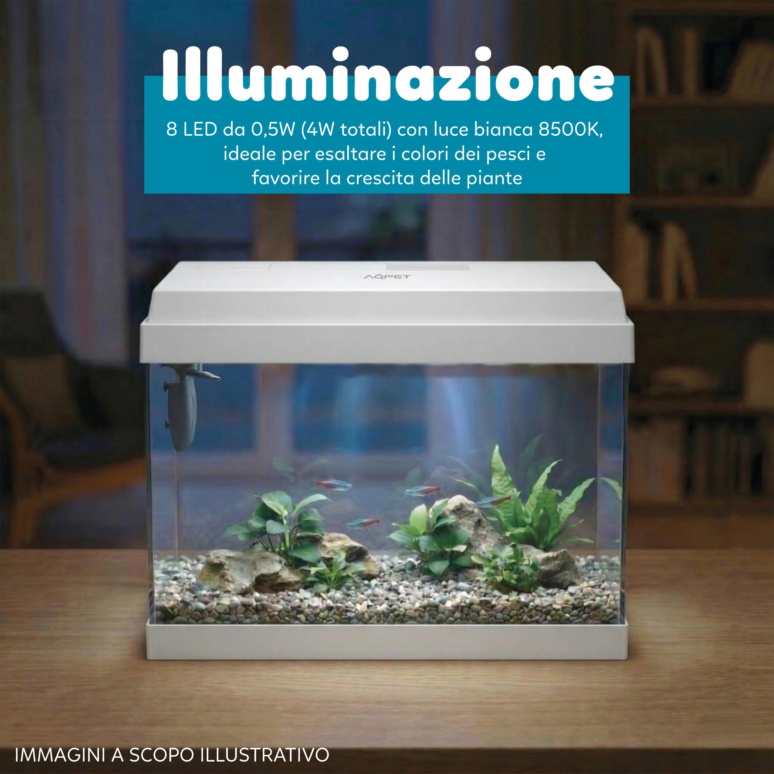 AQPET Acquario in Vetro per Pesci Tropicali Completo di Accessori Filtro Luce Simply, 30 39x22x30 cm 30 Litri, Bianco