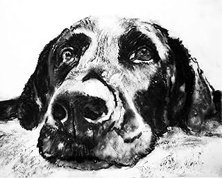 Black Labrador A4 Dog Art Print hand-signed by Pet Portrait Artist Oscar Jetson | Labrador Retriever Gift, Black Lab A4 Unframed