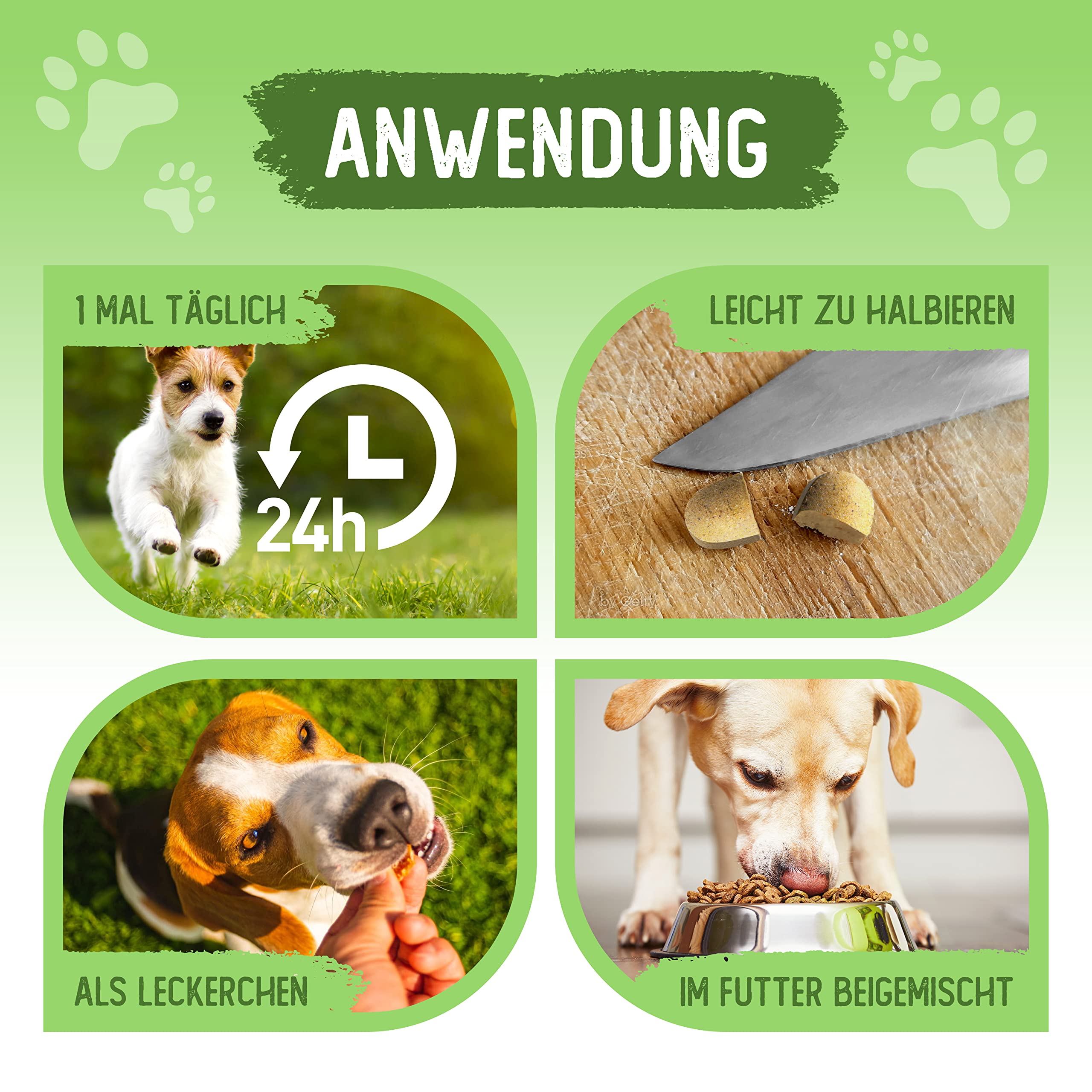 Tierkraft Gelenktabletten für Hunde - Made in Germany - Gelenktabletten Hund mit Grünlippmuschel - Teufelskralle Hund - MSM Hund & Grünlippmuschel Hund - 100 Gelenk- & Knochenschutz Tabletten