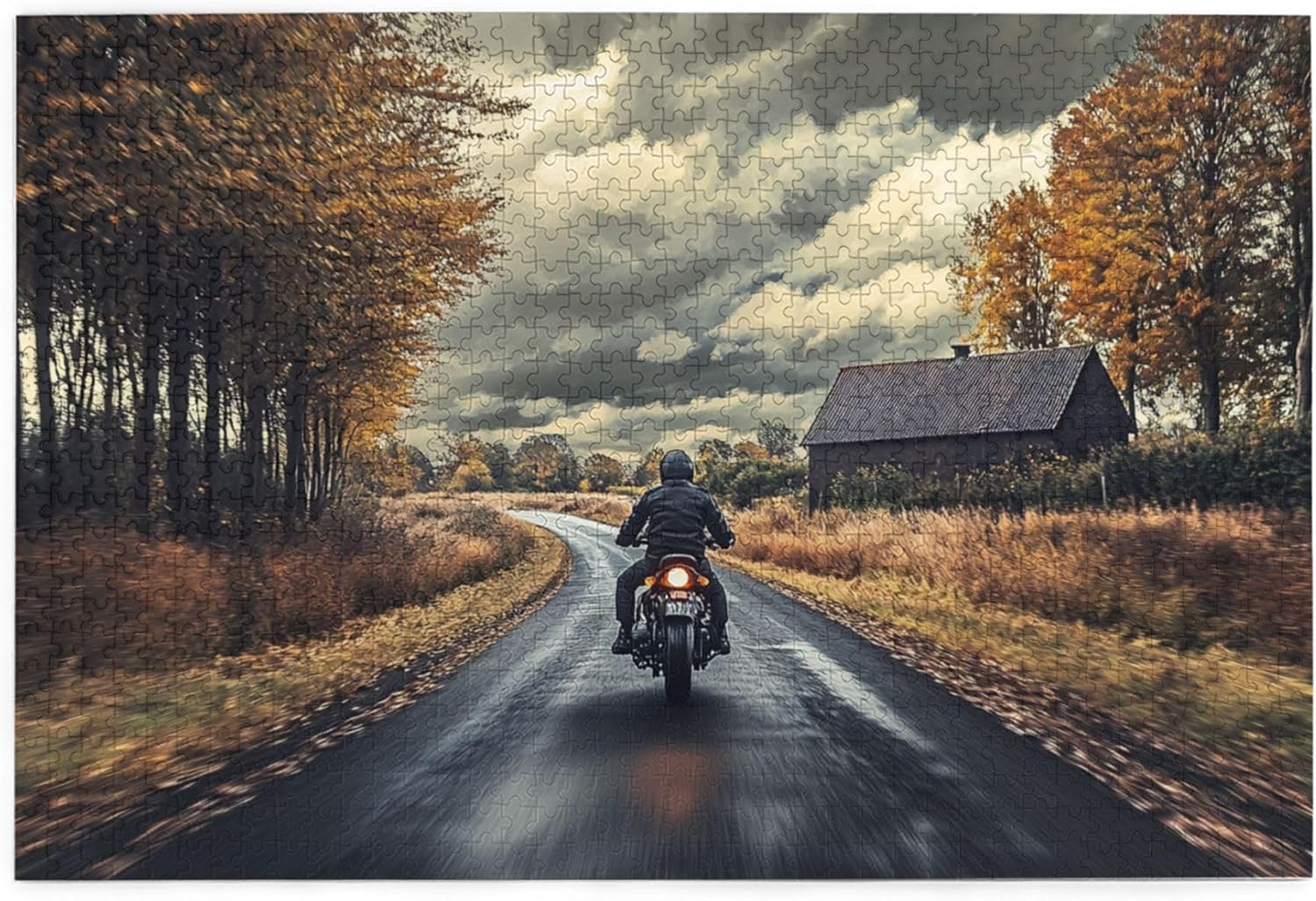 A Man On A Motorcycle 1000 Piece of Adult Wooden Puzzle - Artistic Challenge,for Jigsaw Collectors,Relieve Stress,Enjoy The Solving Process，Gift for Motorcycle Lovers