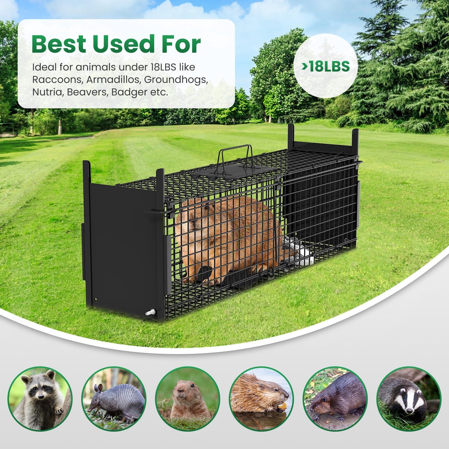 40'' Double Door Live Animal Cage Trap, Collapsible Galvanized Iron Humane Catch Release Animal Catcher Cage for Raccoons Armadillos Foxes Opossums Muskrats Beavers Under 18LBS