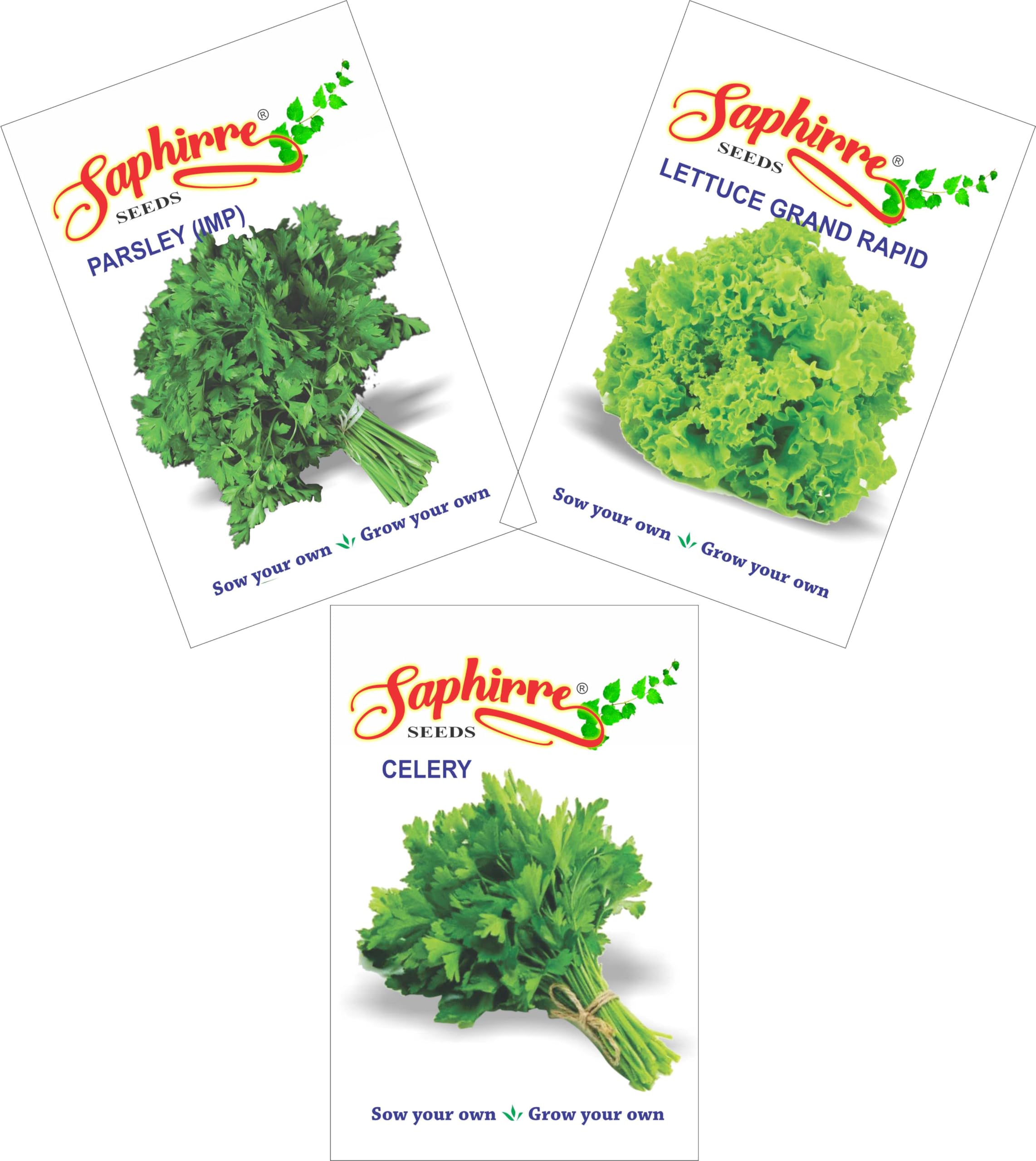 See full amazon price history chart for Saphirre Seeds| Herb Seeds| 3 Per Packet| Celery, Lettuce, Parsley Saphirre Seeds| Herb Seeds| 3 Per Packet| Celery, Lettuce, Parsley (B091DTGJBX) Amazon Price History, Amazon Price Tracker