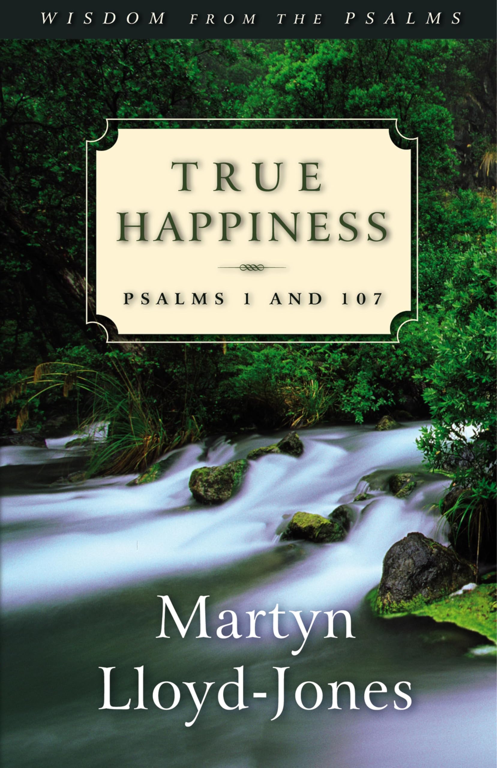 True Happiness: Psalms 1 and 107 (Volume 1)
