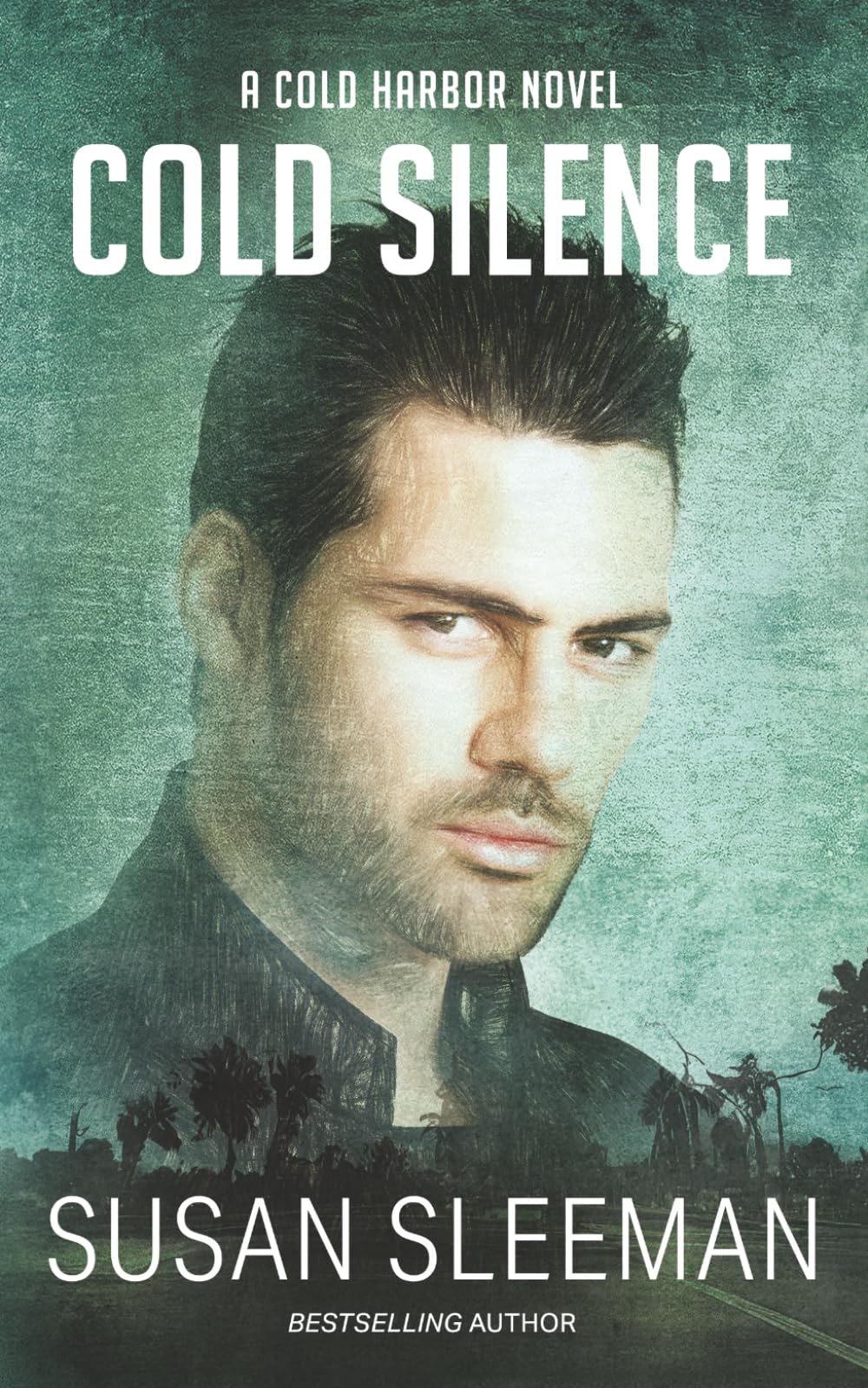 Cold Silence (Cold Harbor)