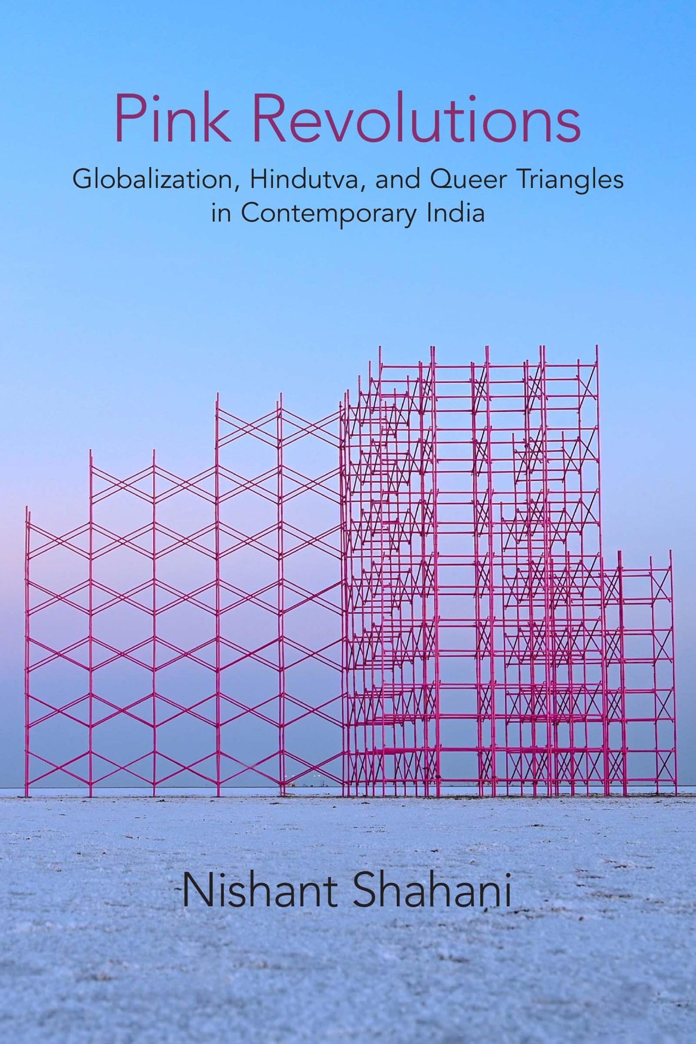 Buy Pink Revolutions: Globalization, Hindutva, and Queer Triangles in Contemporary India (Critical Insurgencies) — BookShops.in