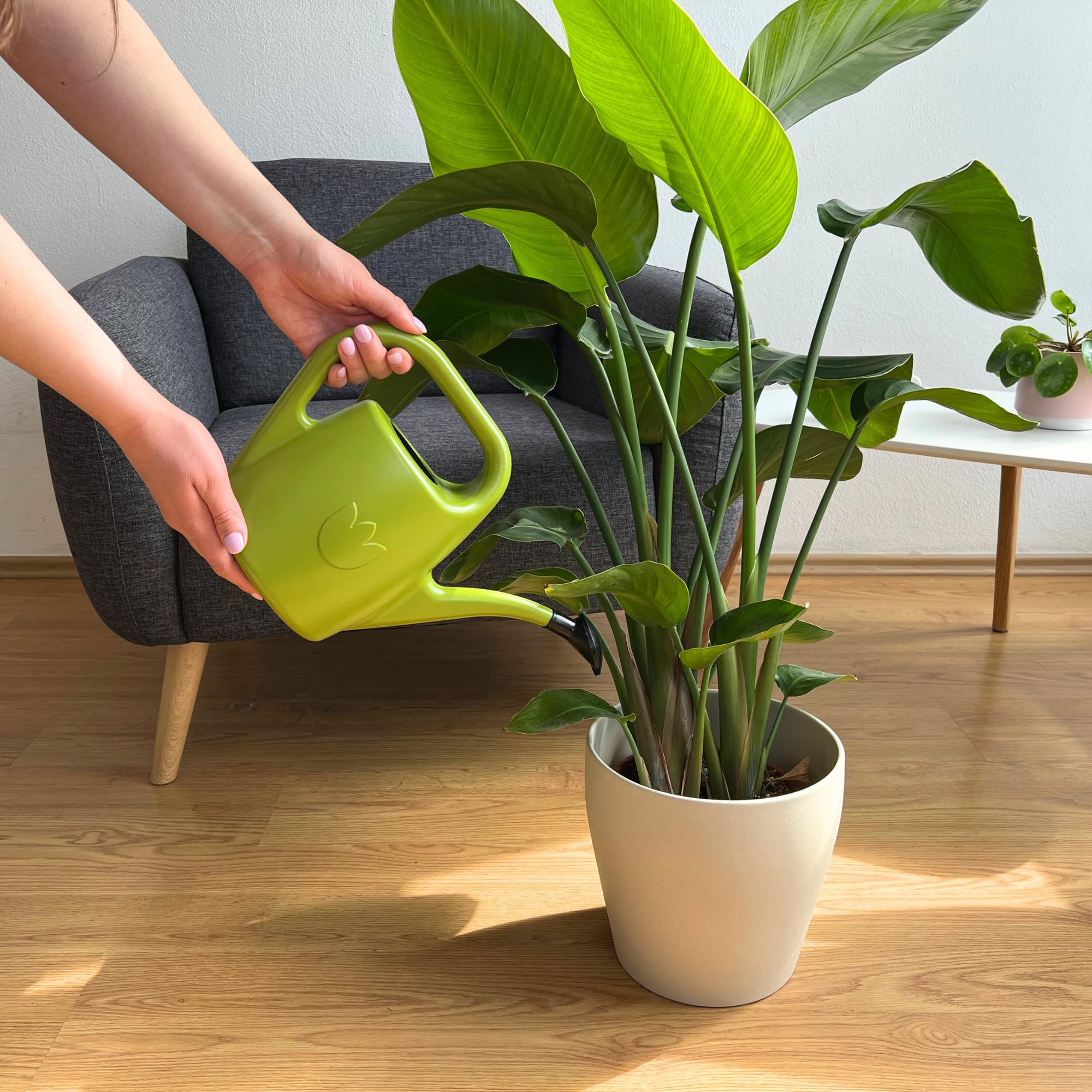 Watering Can Eva 2 Litres - Small Watering Can for Indoor and Outdoor Plants - Plastic House Plant Water Can, Light Green - Image 2