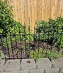 Review Image by JGru JGru